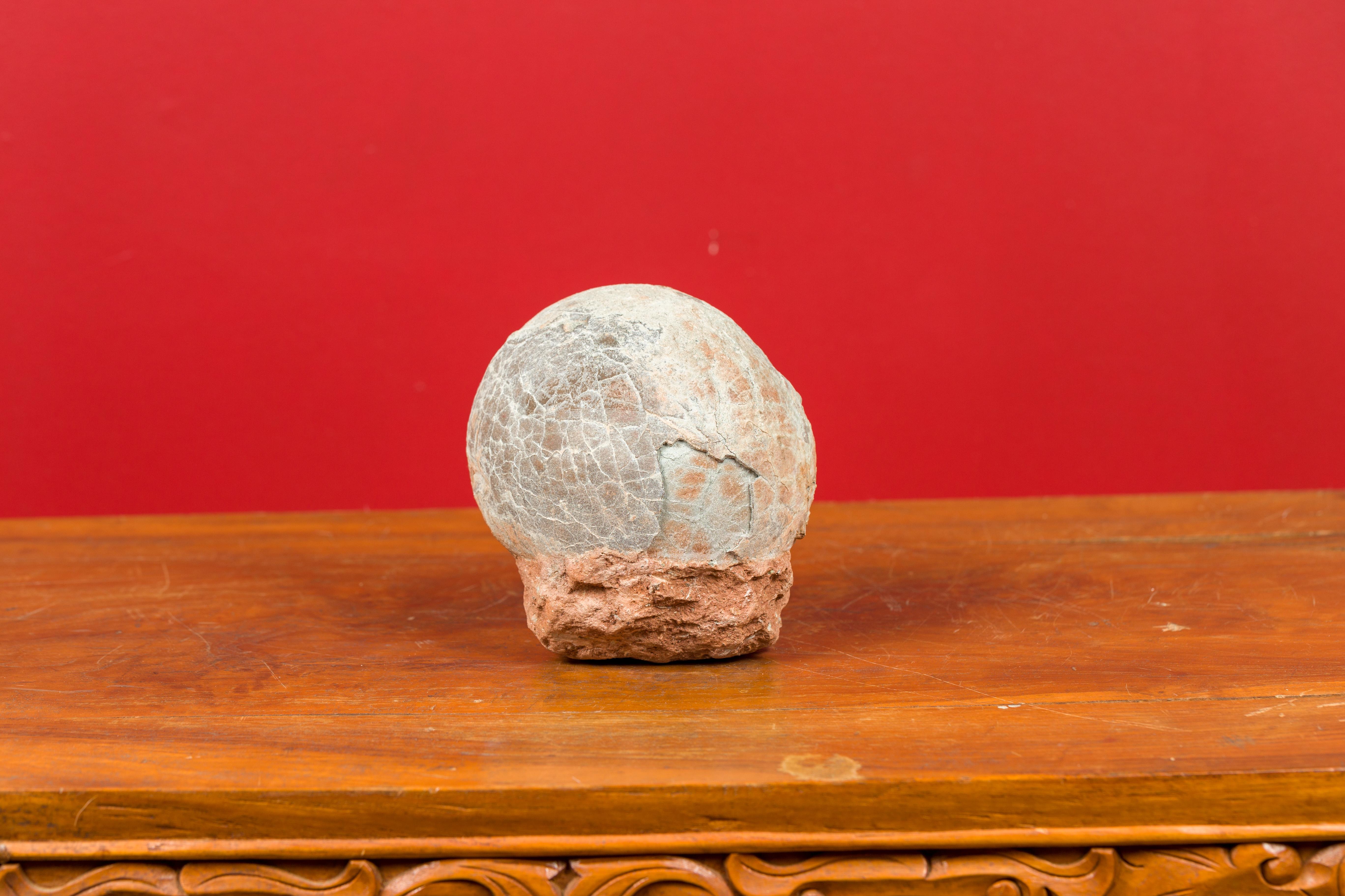 dinosaur egg fossil for sale