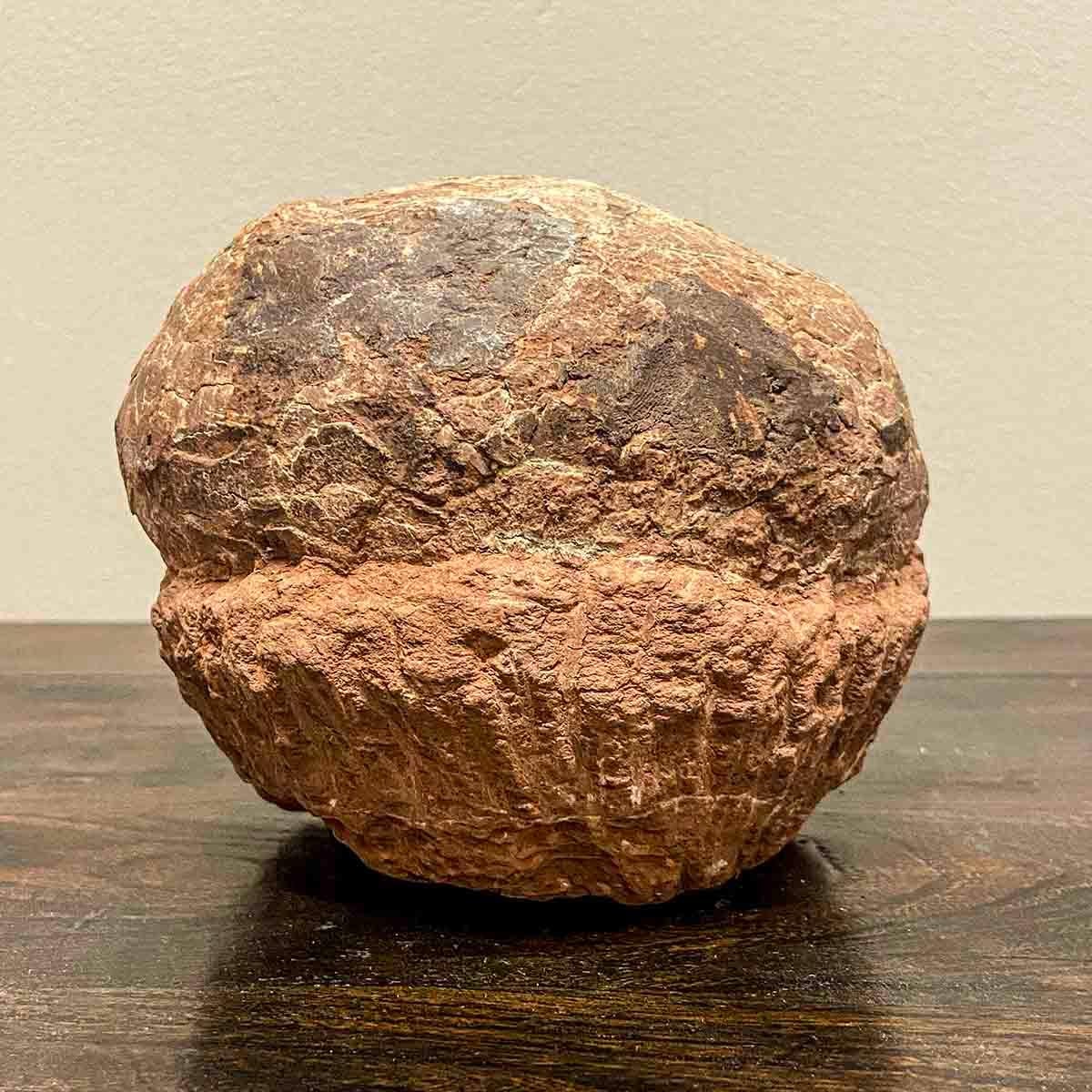 Prehistoric Chinese Petrified Dinosaur Egg with Cracked Surface In Good Condition In Yonkers, NY