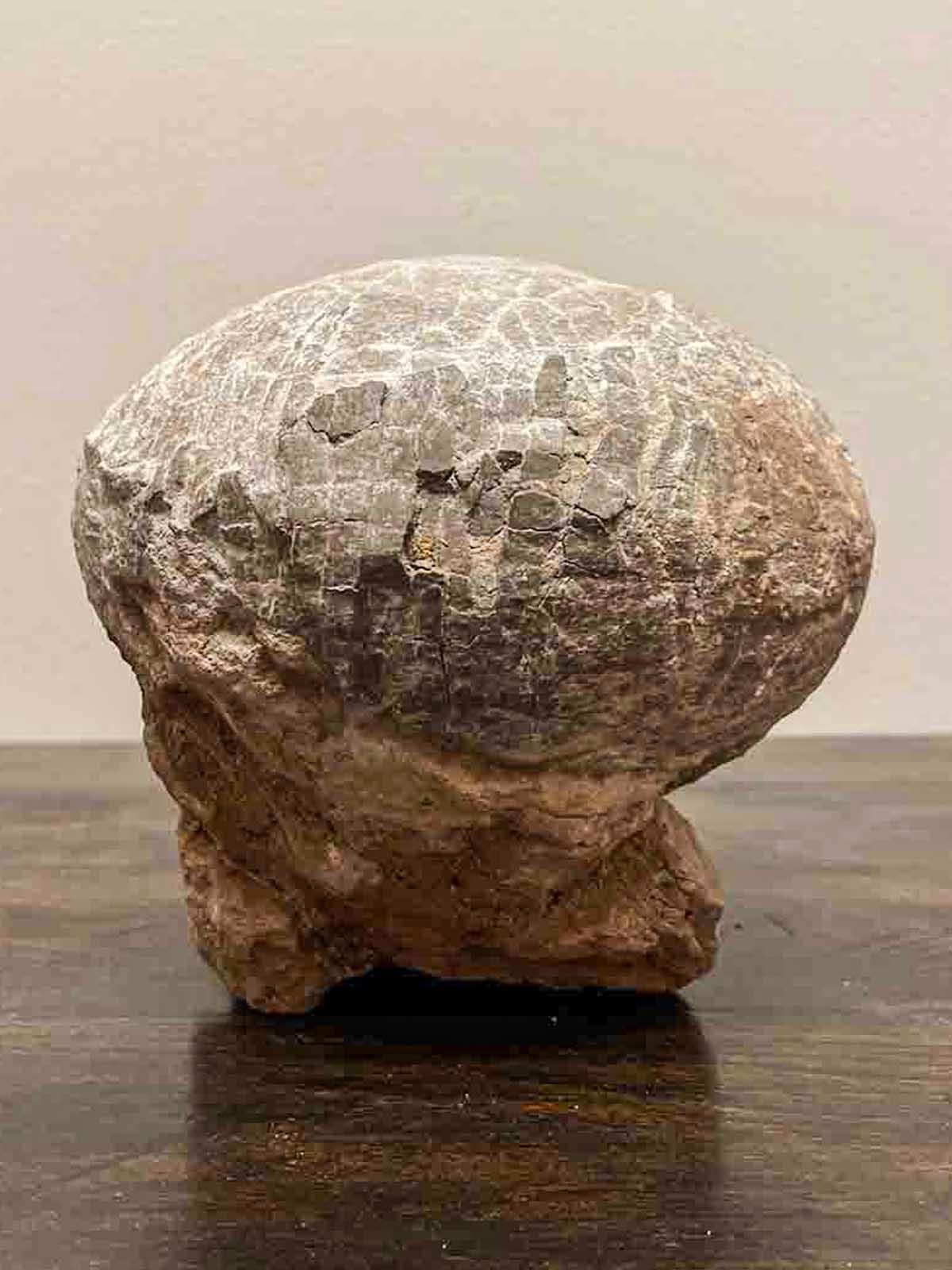 18th Century and Earlier Prehistoric Chinese Petrified Dinosaur Egg with Cracked Surface