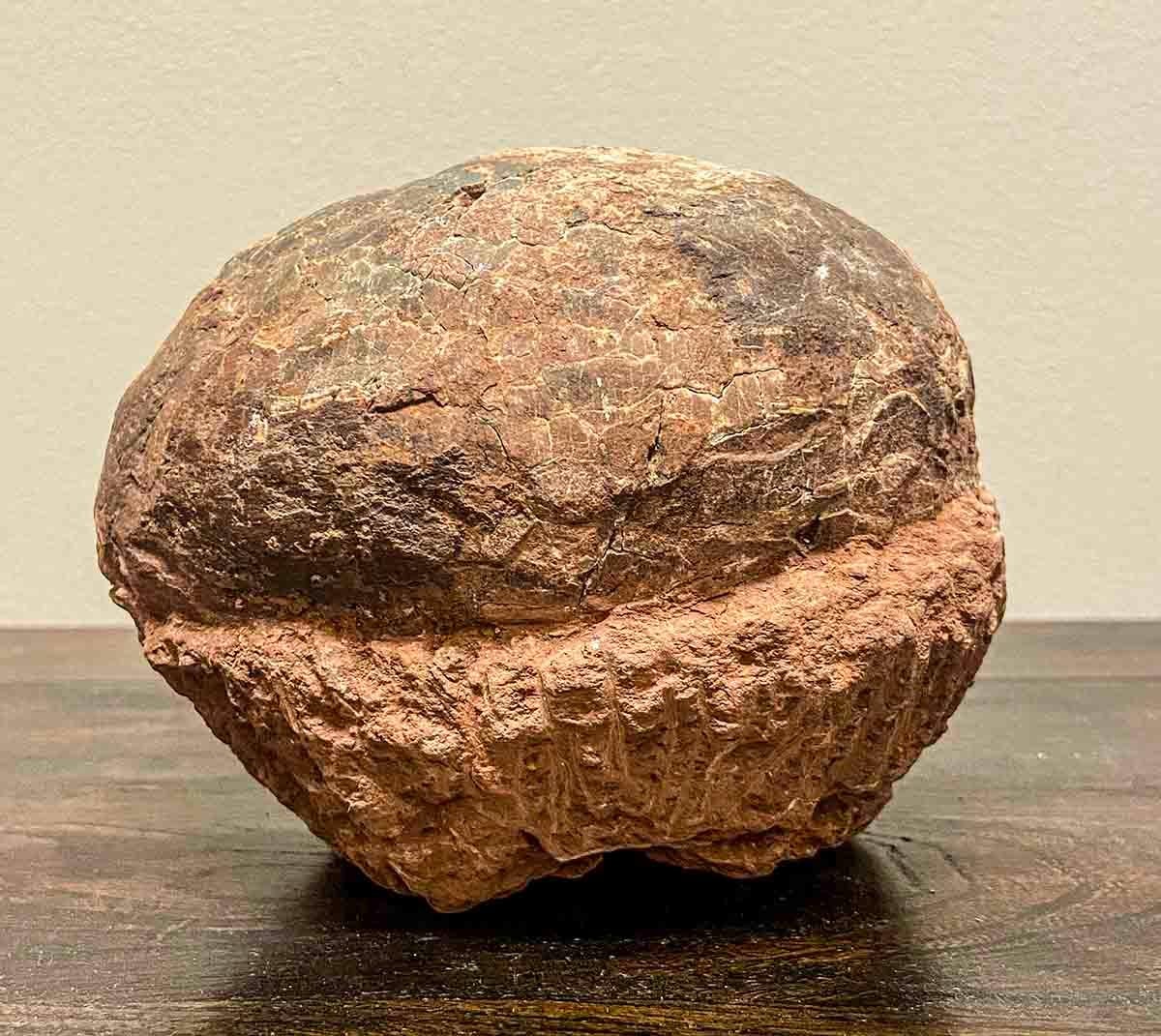 18th Century and Earlier Prehistoric Chinese Petrified Dinosaur Egg with Cracked Surface