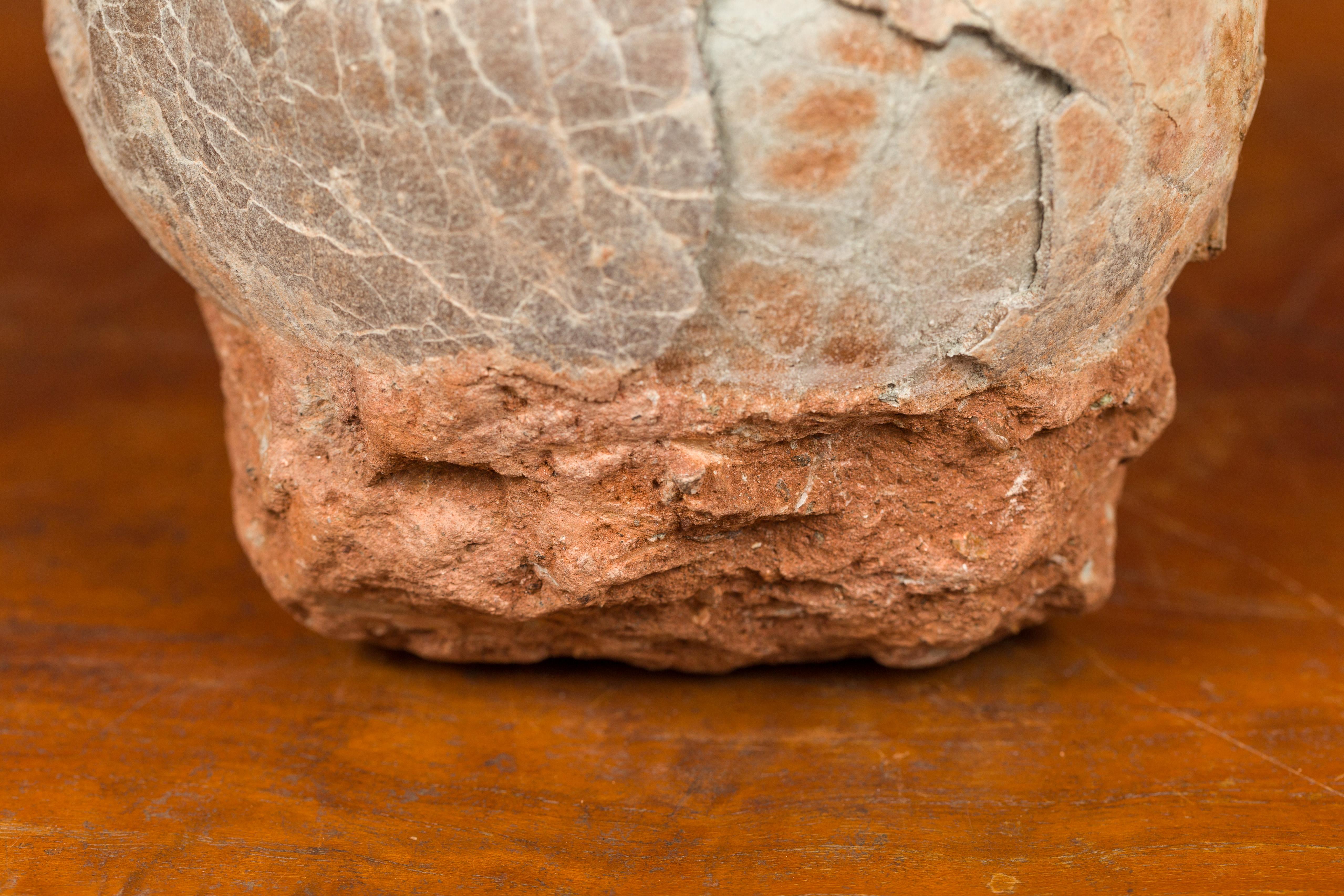 Prehistoric Chinese Petrified Dinosaur Egg with Cracked Surface In Good Condition In Yonkers, NY