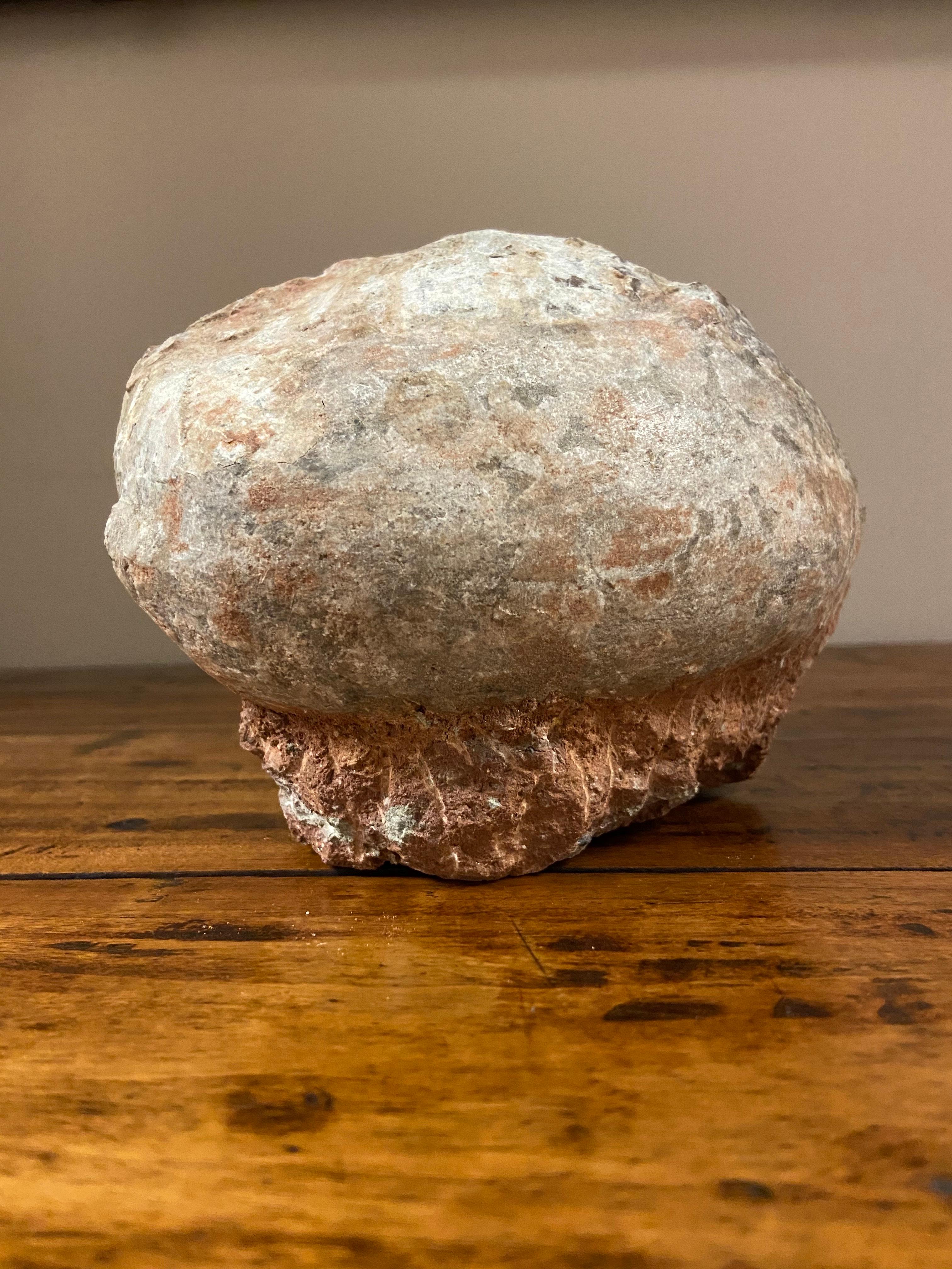 Prehistoric Chinese Petrified Dinosaur Egg with Cracked Surface In Good Condition In Yonkers, NY