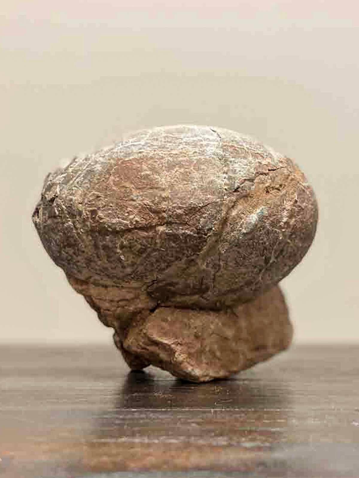 Prehistoric Chinese Petrified Dinosaur Egg with Cracked Surface 1