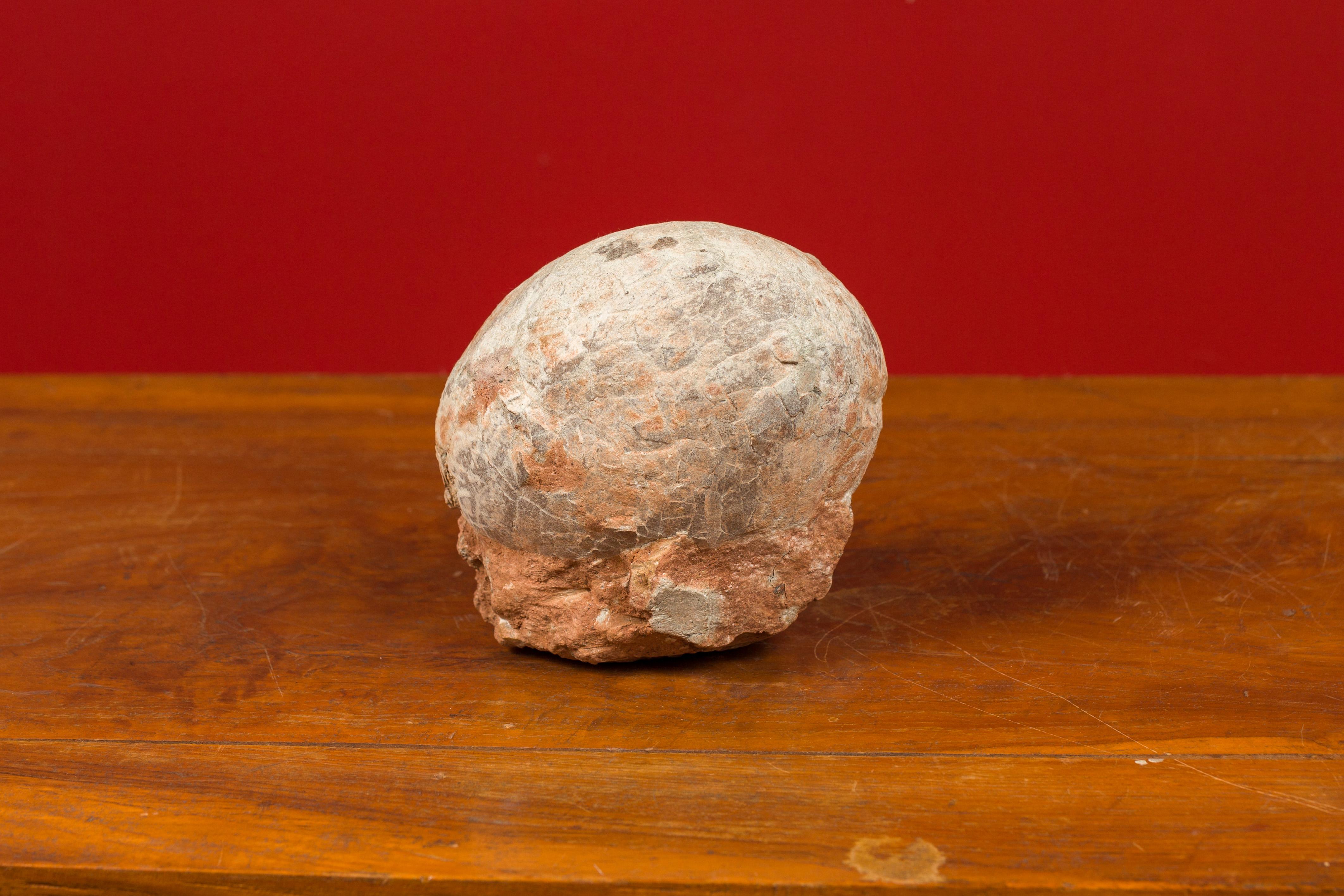 Other Prehistoric Chinese Petrified Dinosaur Egg with Cracked Surface