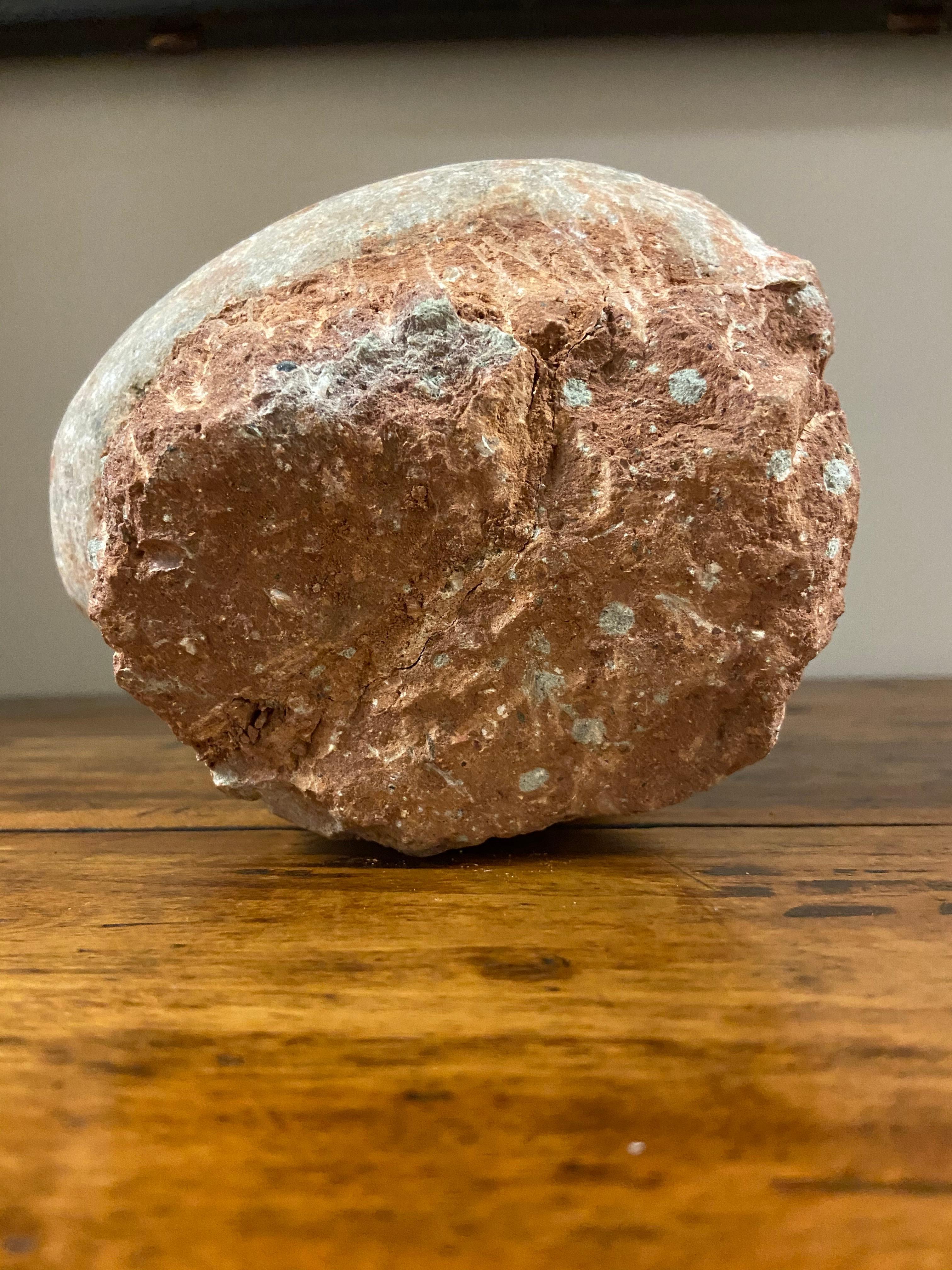 Prehistoric Chinese Petrified Dinosaur Egg with Cracked Surface 1