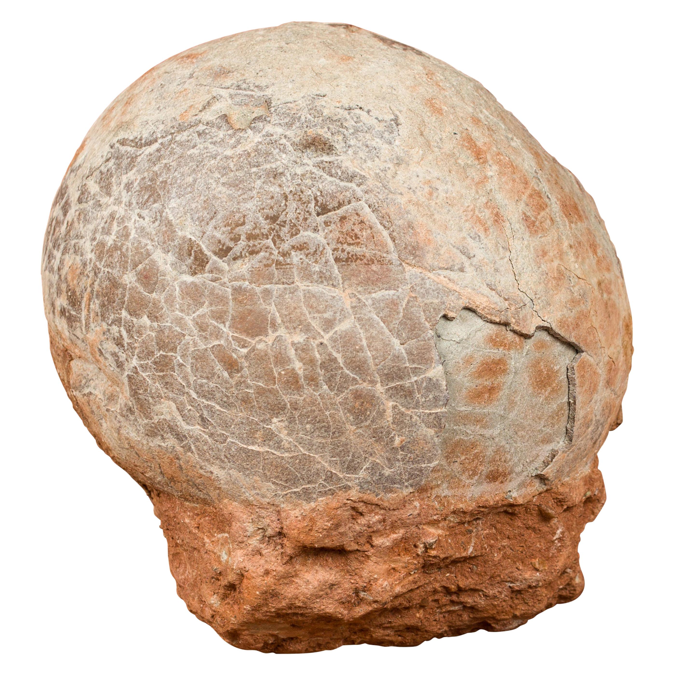 Prehistoric Chinese Petrified Dinosaur Egg with Cracked Surface