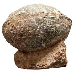 Prehistoric Chinese Petrified Dinosaur Egg with Cracked Surface