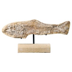Vintage Prehistoric Fossil Fish Specimen