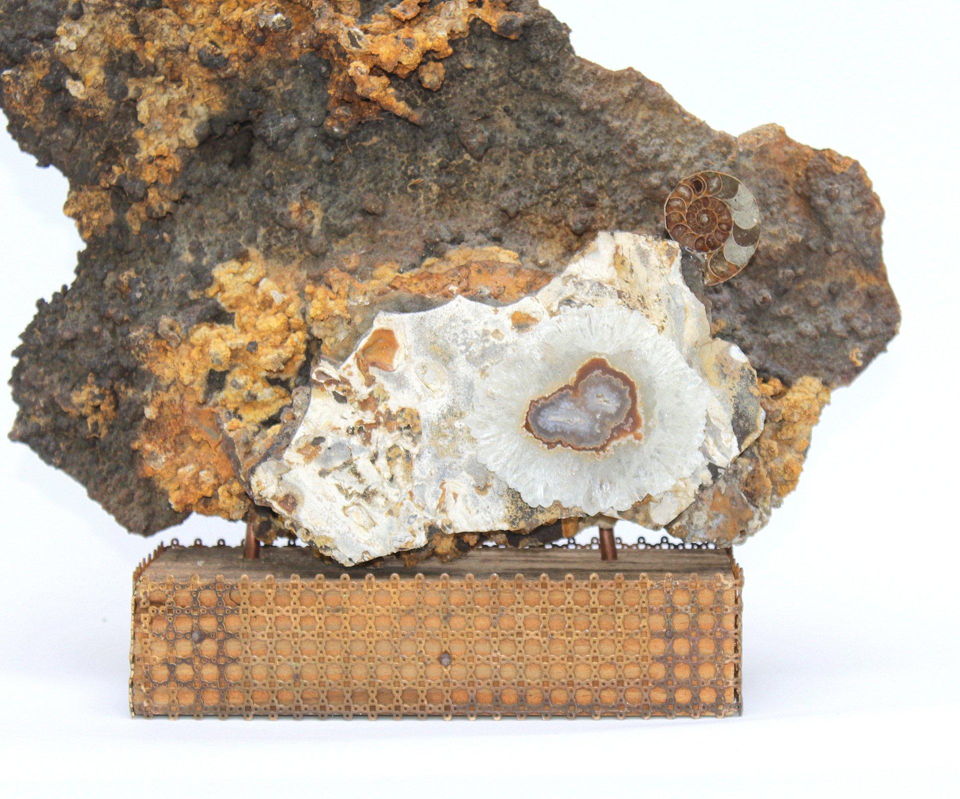 Prehistoric fossil rock coral with a stalactite and a fossil ammonite on a wood base with 19th century decorative metal furniture trim.
