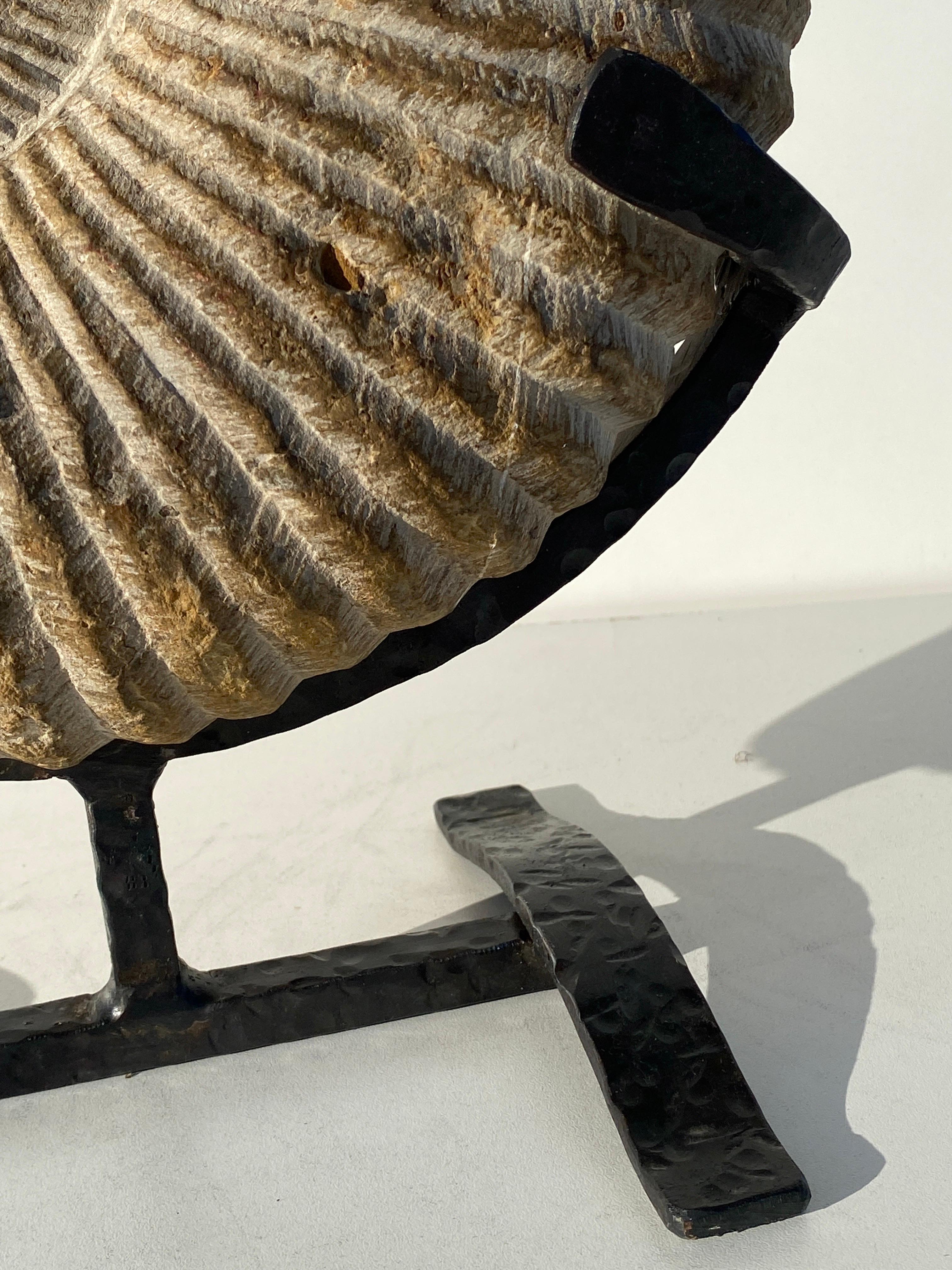 Prehistoric Fossilized Ammonte In Good Condition In North Hollywood, CA