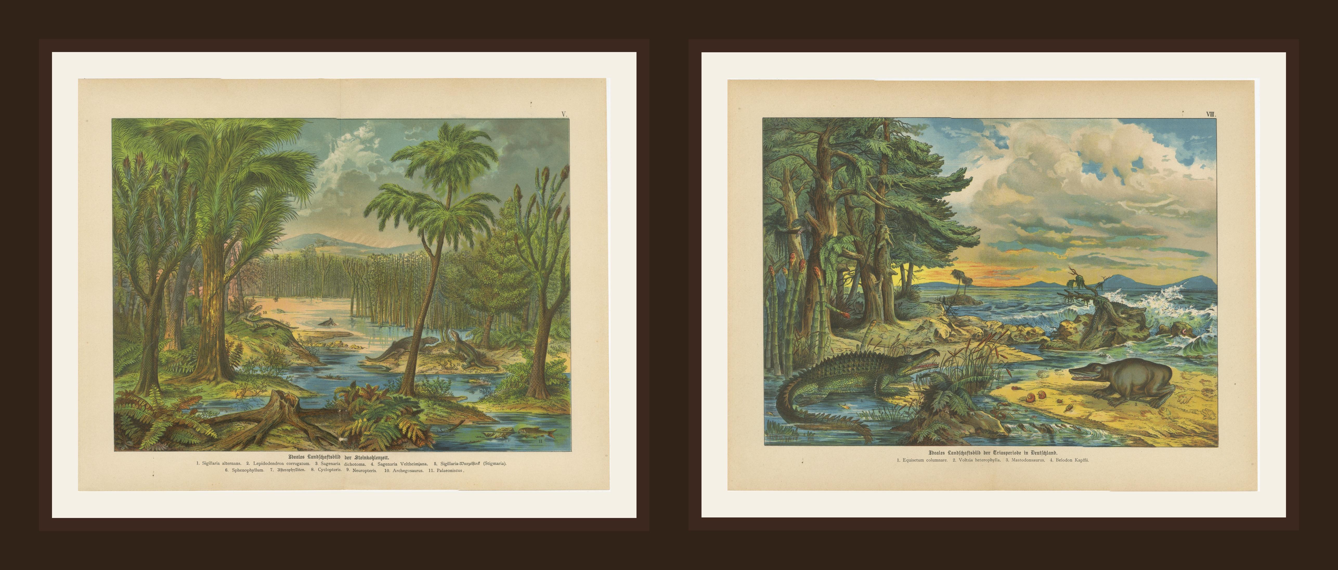 Antiche cromolitografie di paesaggi preistorici - Epoca Carbonifera e Triassica, 1880 ca.

Queste suggestive cromolitografie antiche presentano vivide ricostruzioni di paesaggi preistorici, offrendo una finestra sul mondo naturale del tempo