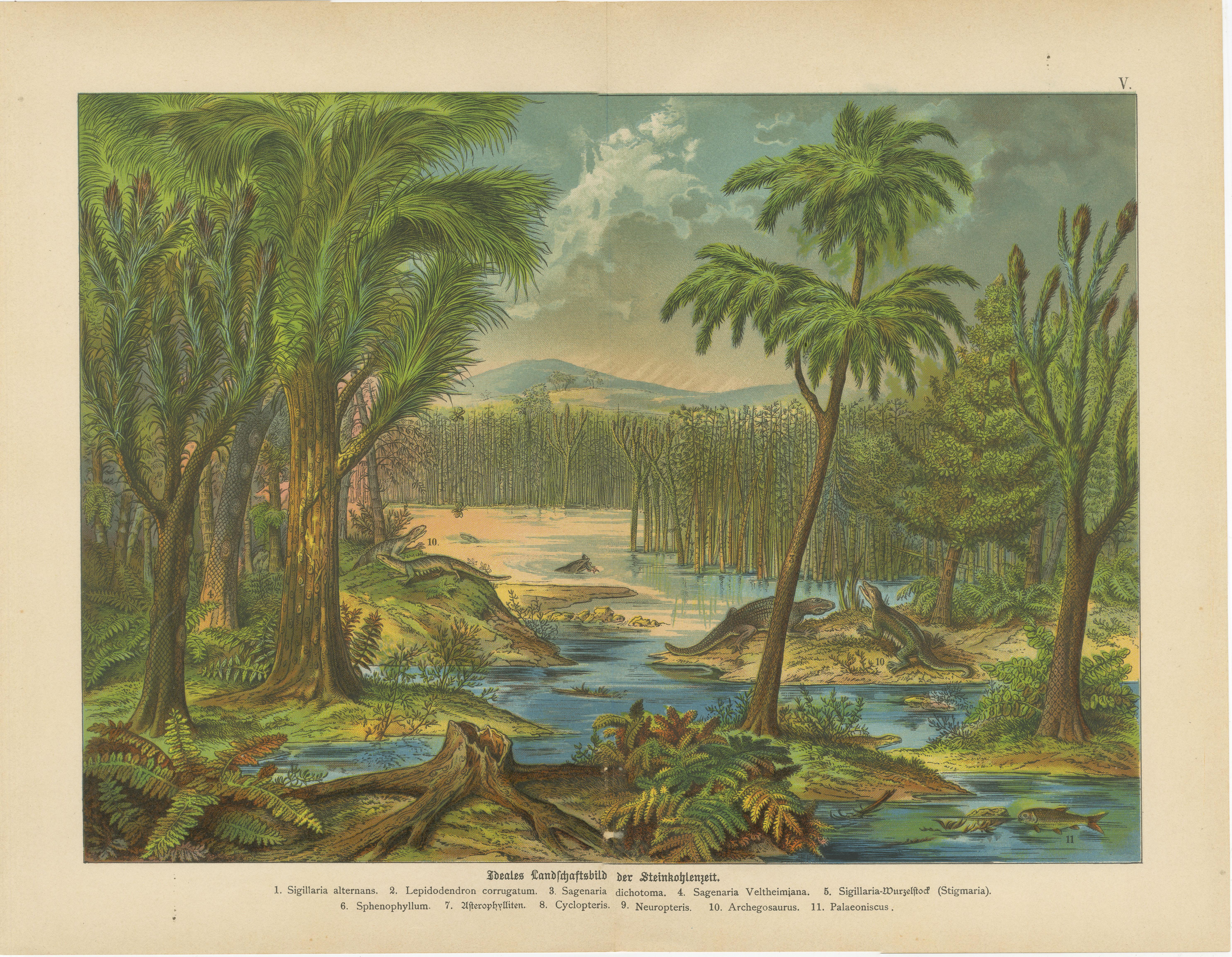 Tedesco Stampe di paesaggi preistorici - Epoca Carbonifera e Triassica, Antico c.1880 in vendita