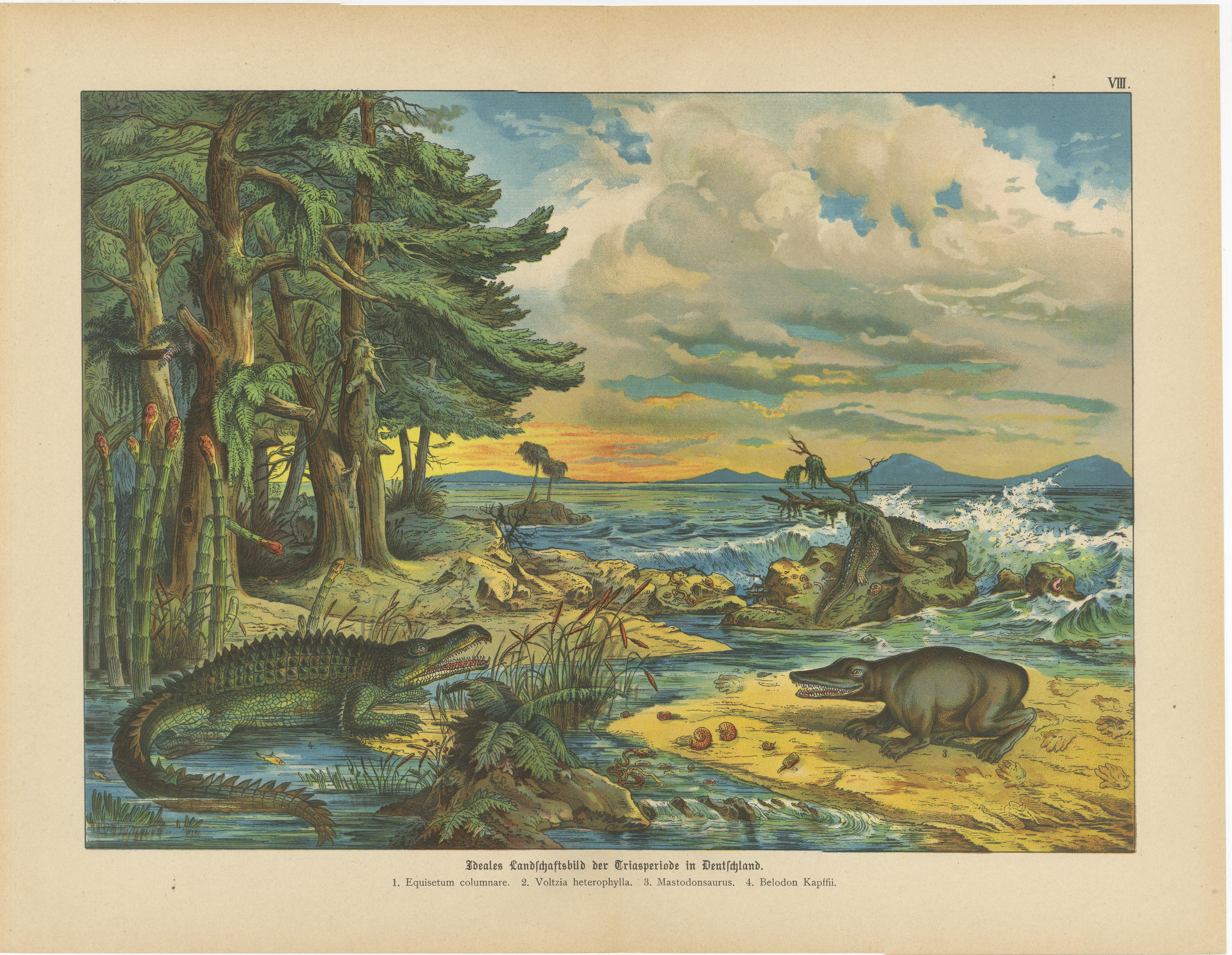 Stampe di paesaggi preistorici - Epoca Carbonifera e Triassica, Antico c.1880 In condizioni buone in vendita a Langweer, NL