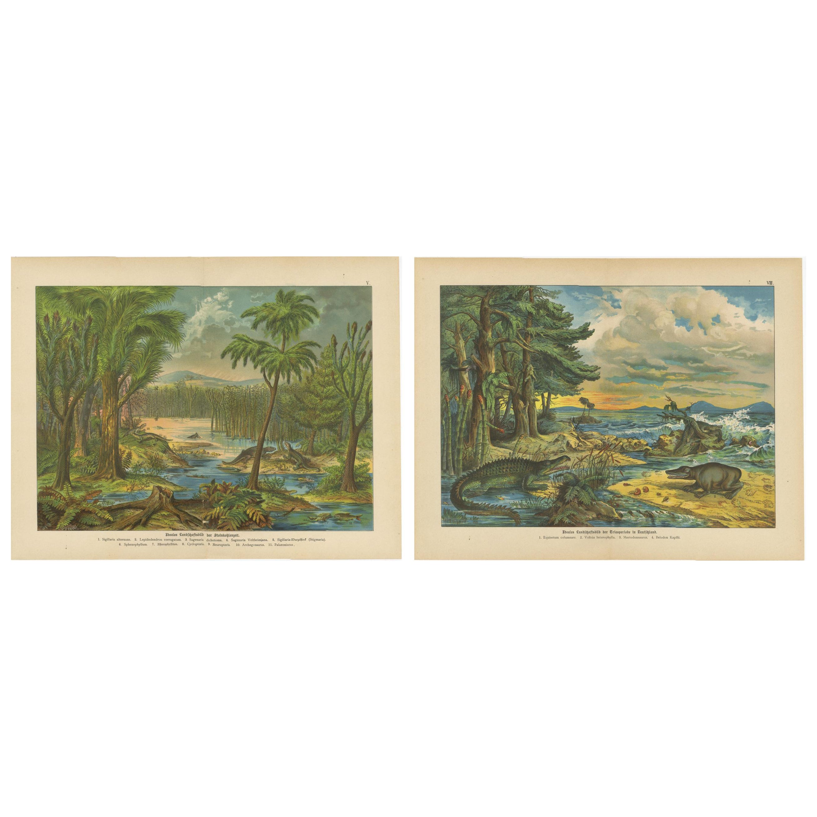 Stampe di paesaggi preistorici - Epoca Carbonifera e Triassica, Antico c.1880