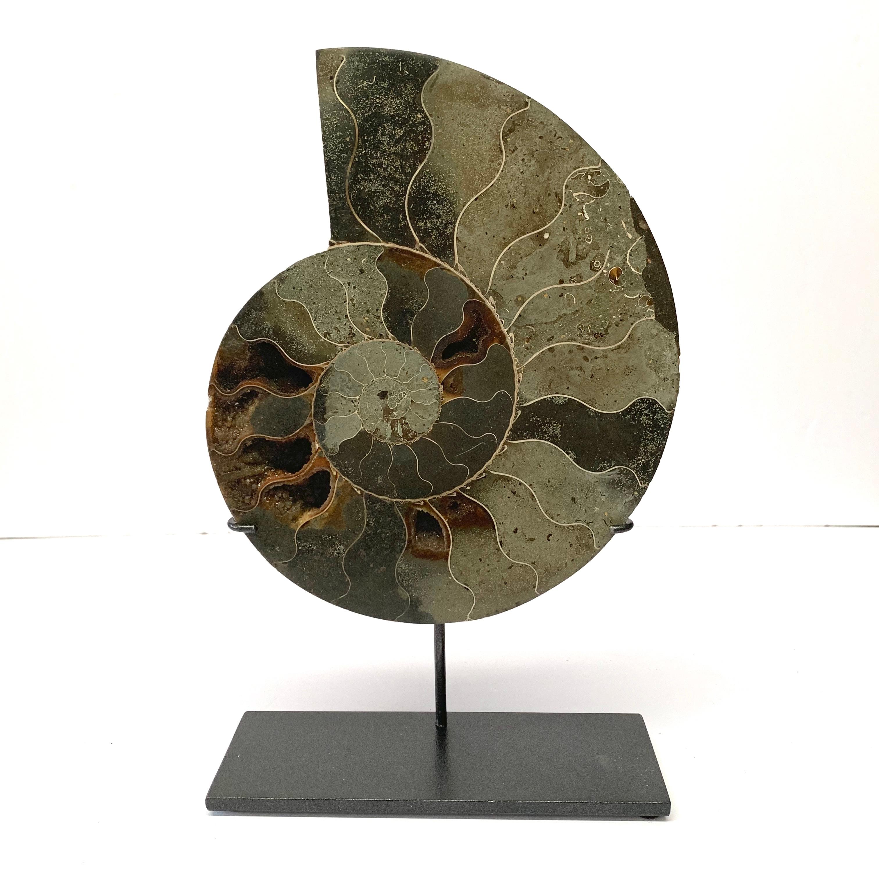 Malagasy Prehistoric Madagascar Pair of Ammonite Sculptures on Stands