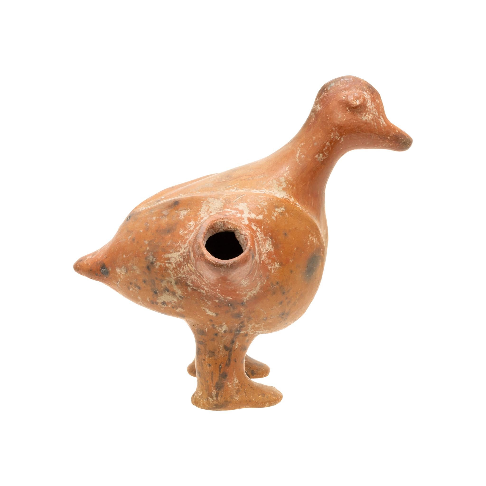 Pottery Prehistoric Mexican Moche Standing Duck Vessel