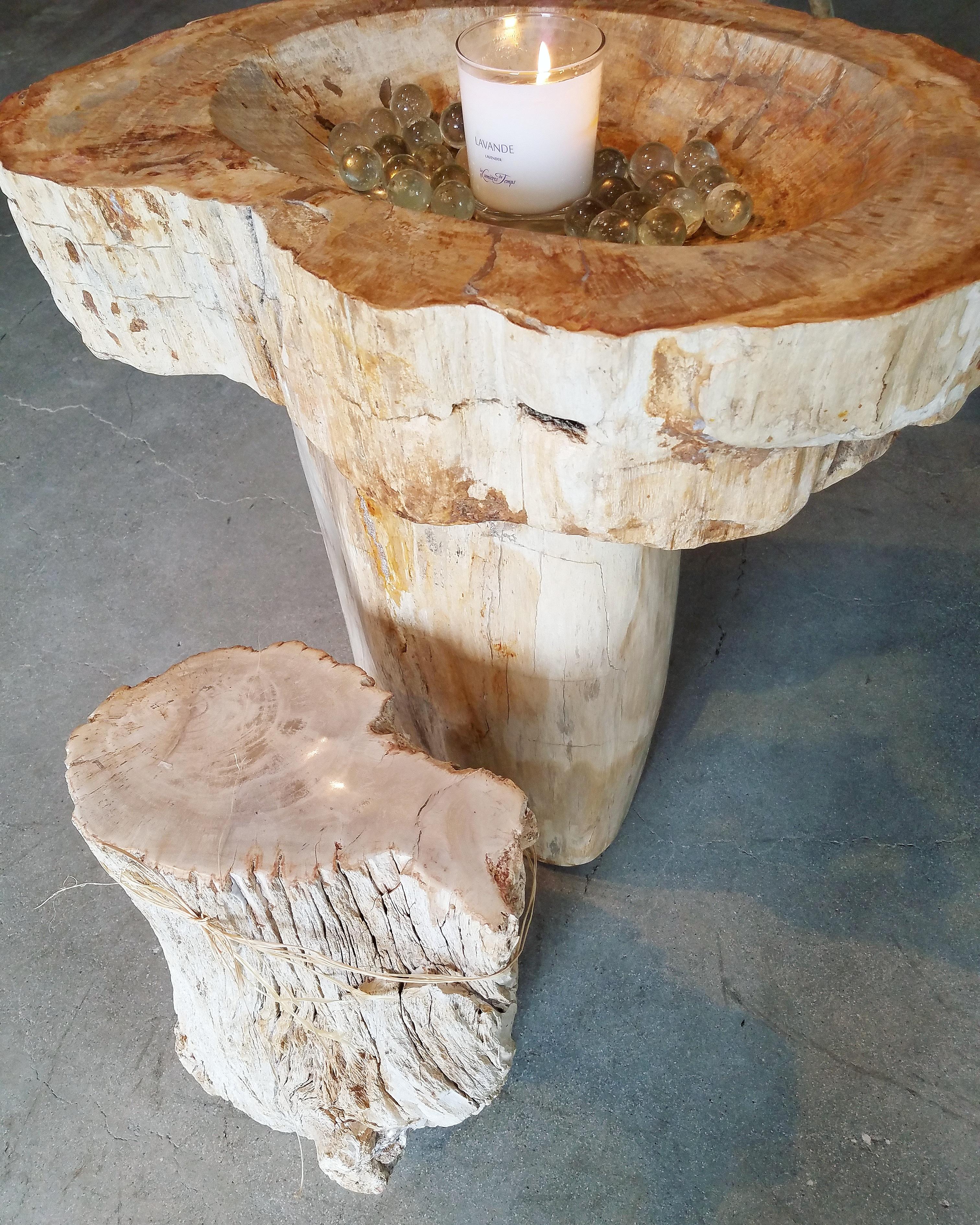 Prehistoric Petrified Wood Basin and Pedestal In Excellent Condition For Sale In Cardiff, CA