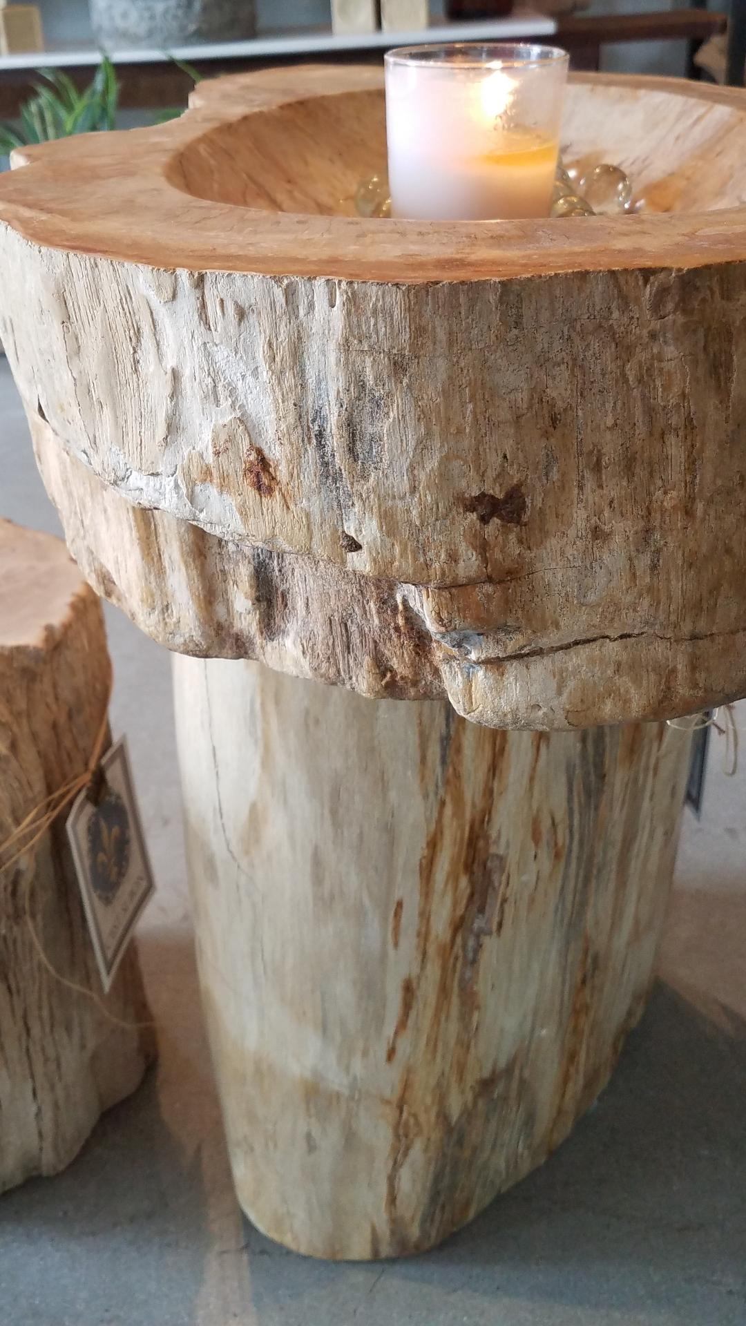 18th Century and Earlier Prehistoric Petrified Wood Basin and Pedestal For Sale