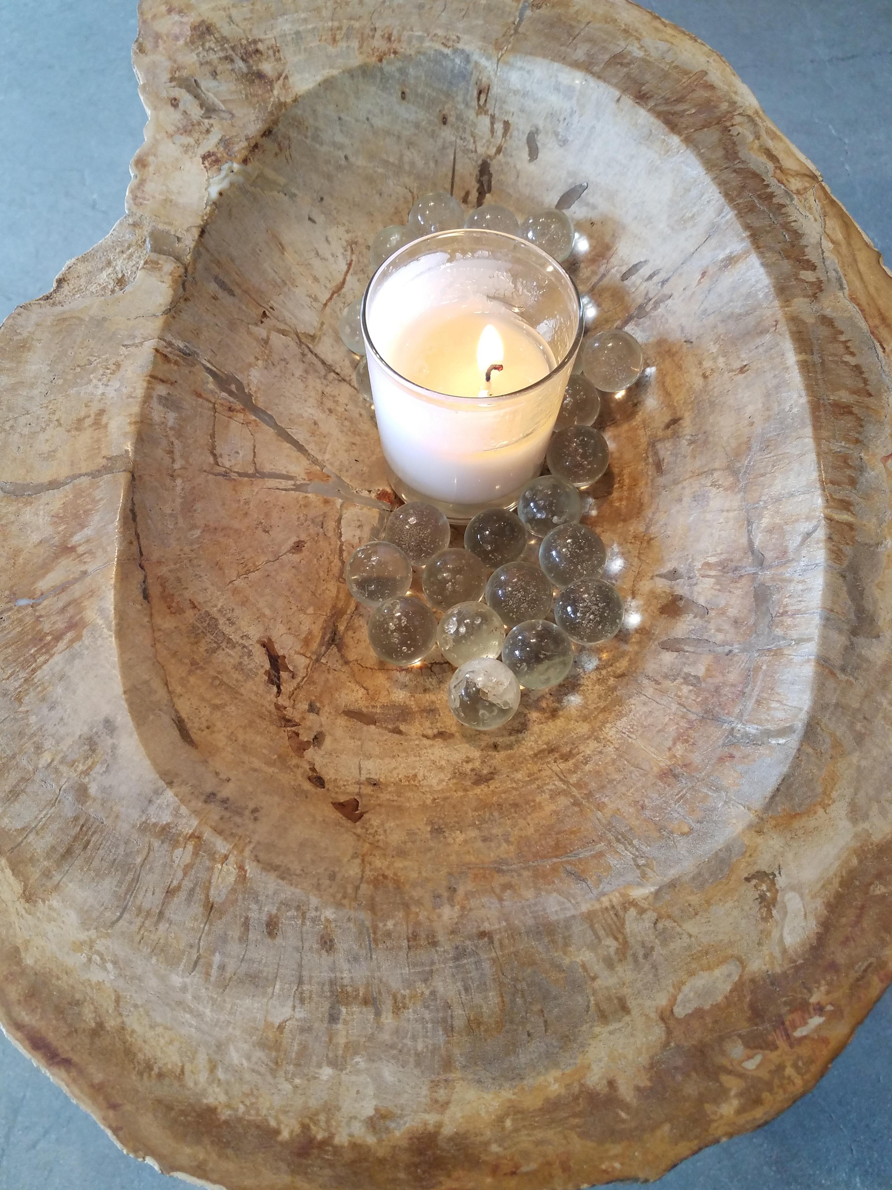 Prehistoric Petrified Wood Basin and Pedestal For Sale 3