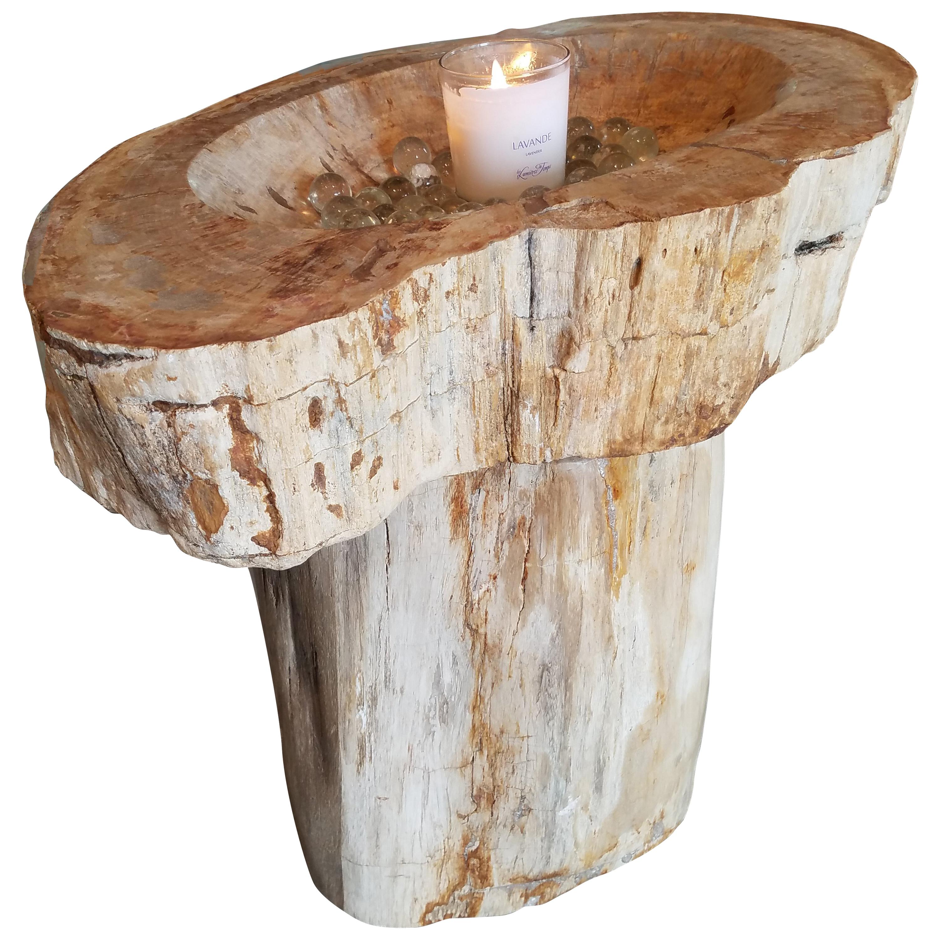 Prehistoric Petrified Wood Basin and Pedestal For Sale