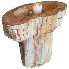 Prehistoric Petrified Wood Basin and Pedestal