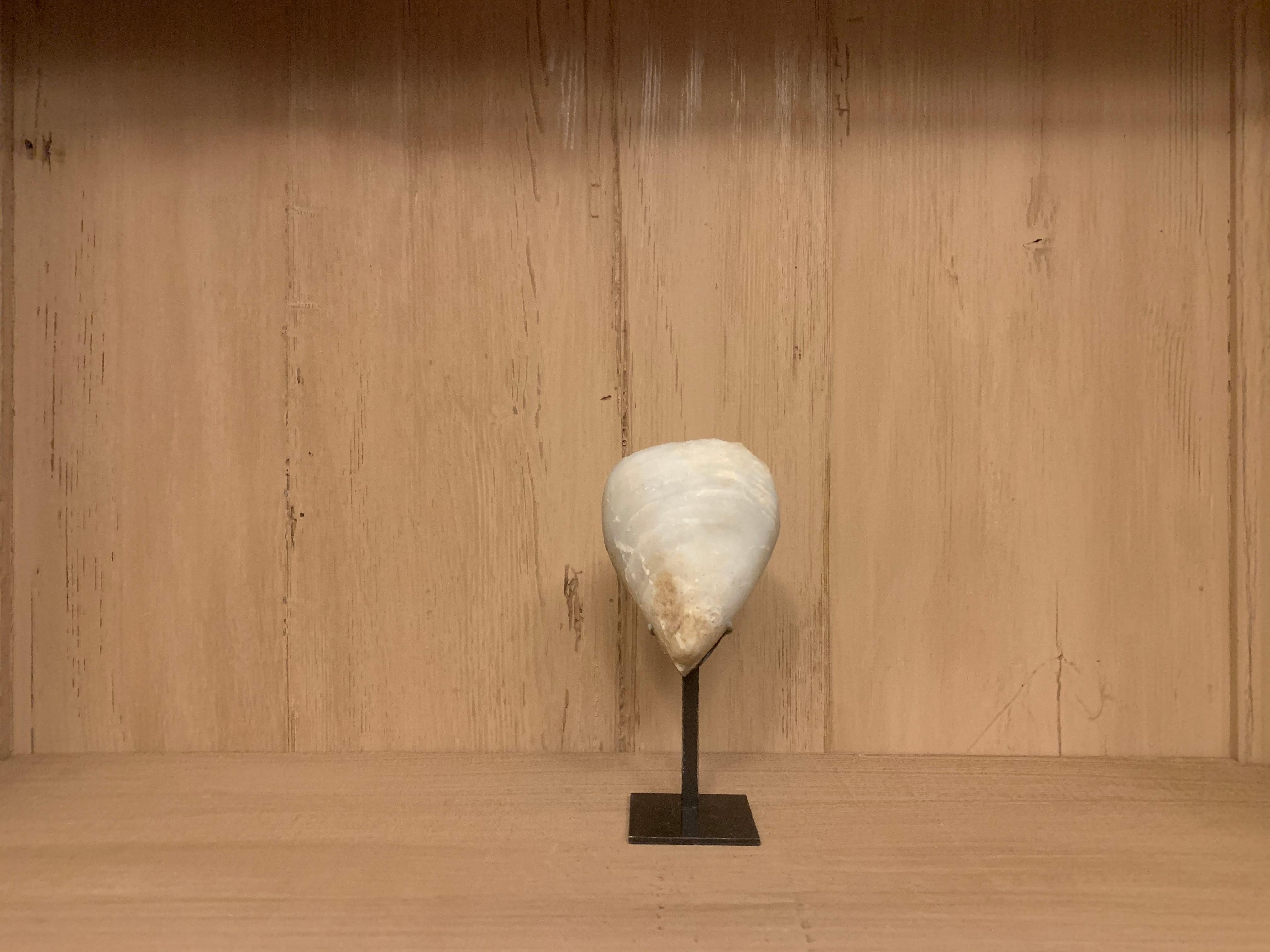 A small, Prehistoric Anatolian marble head of the kiliya type. Of highly stylized geometric form, the marble head is elliptical, with a faintly defined nose and sylphic ears perceptible.
Originally from a standing figure, kiliya idols are often