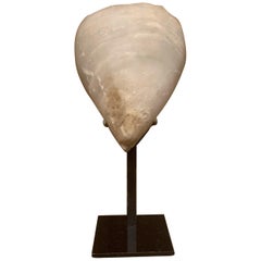 Prehistoric Stargazer Marble Head