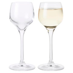 Premium Shot Glass Design Tom Nybroe Clear 2 Pcs