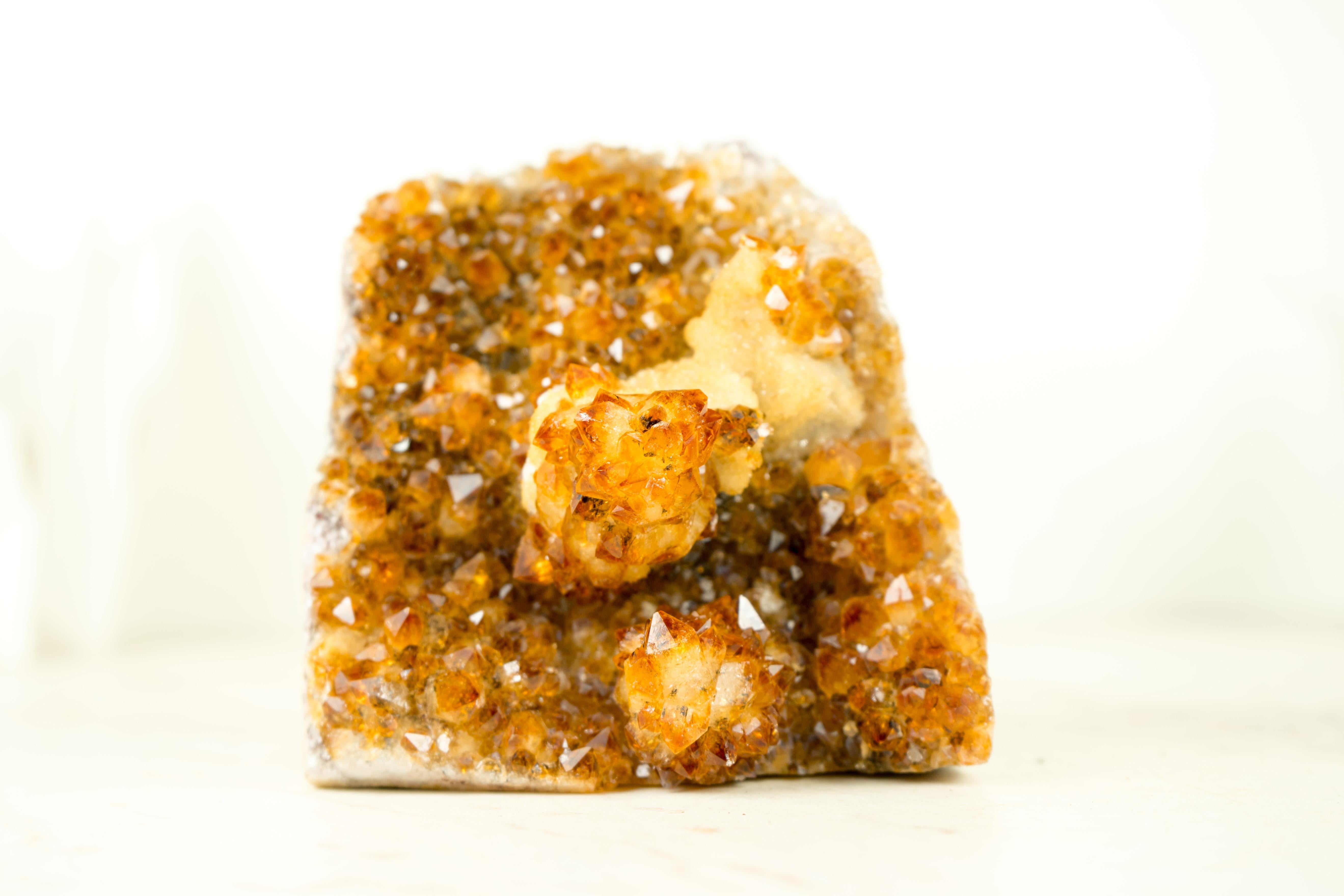 Small Citrine Cluster with Stalactite Flower and Calcite, The Perfect November Crystal 

▫️ Description

A Small Premium Citrine Cluster brings world-class color, a rare stalactite flower, and geometric calcite. These characteristics form the
