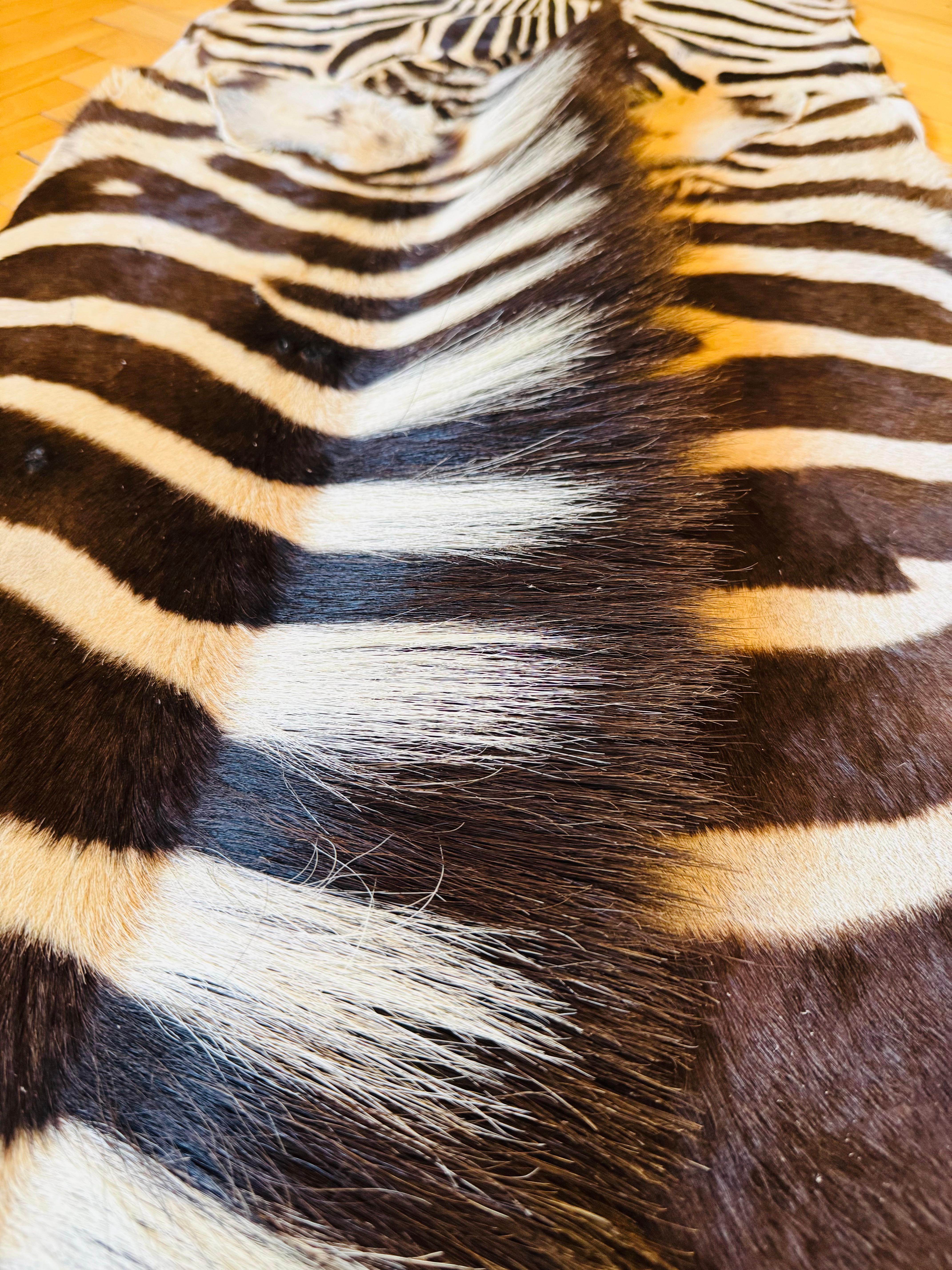 Großes und außergewöhnlich schönes Premium-Zebraleder in einem sehr hellen und eleganten Farbton.
Das Fell hat ein auffälliges natürliches Muster, eine schöne Symmetrie und eine starke visuelle Präsenz.
Dieses Stück ist in einem sehr guten Zustand.