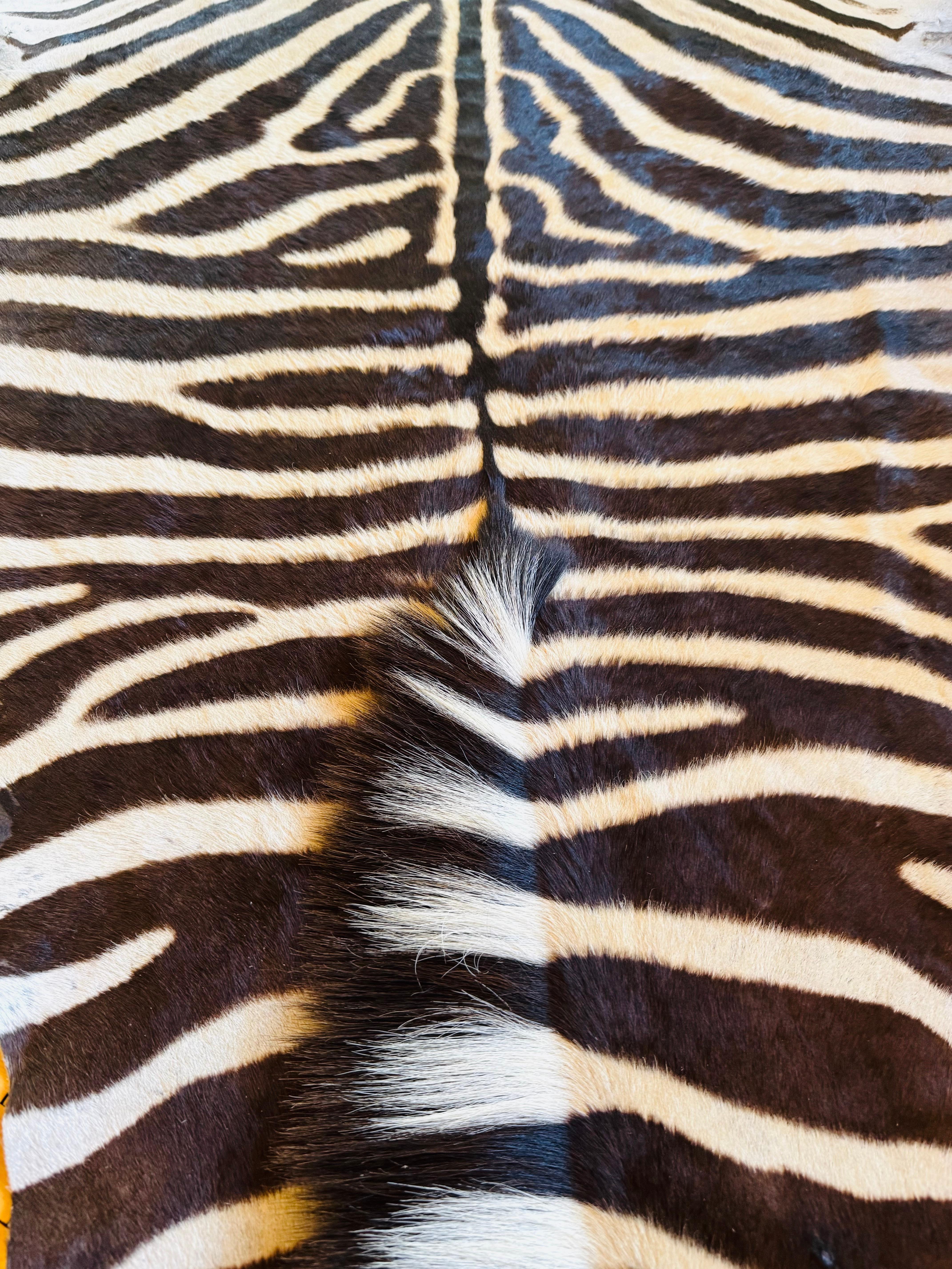 Premium XL Zebrafell (Moderne) im Angebot