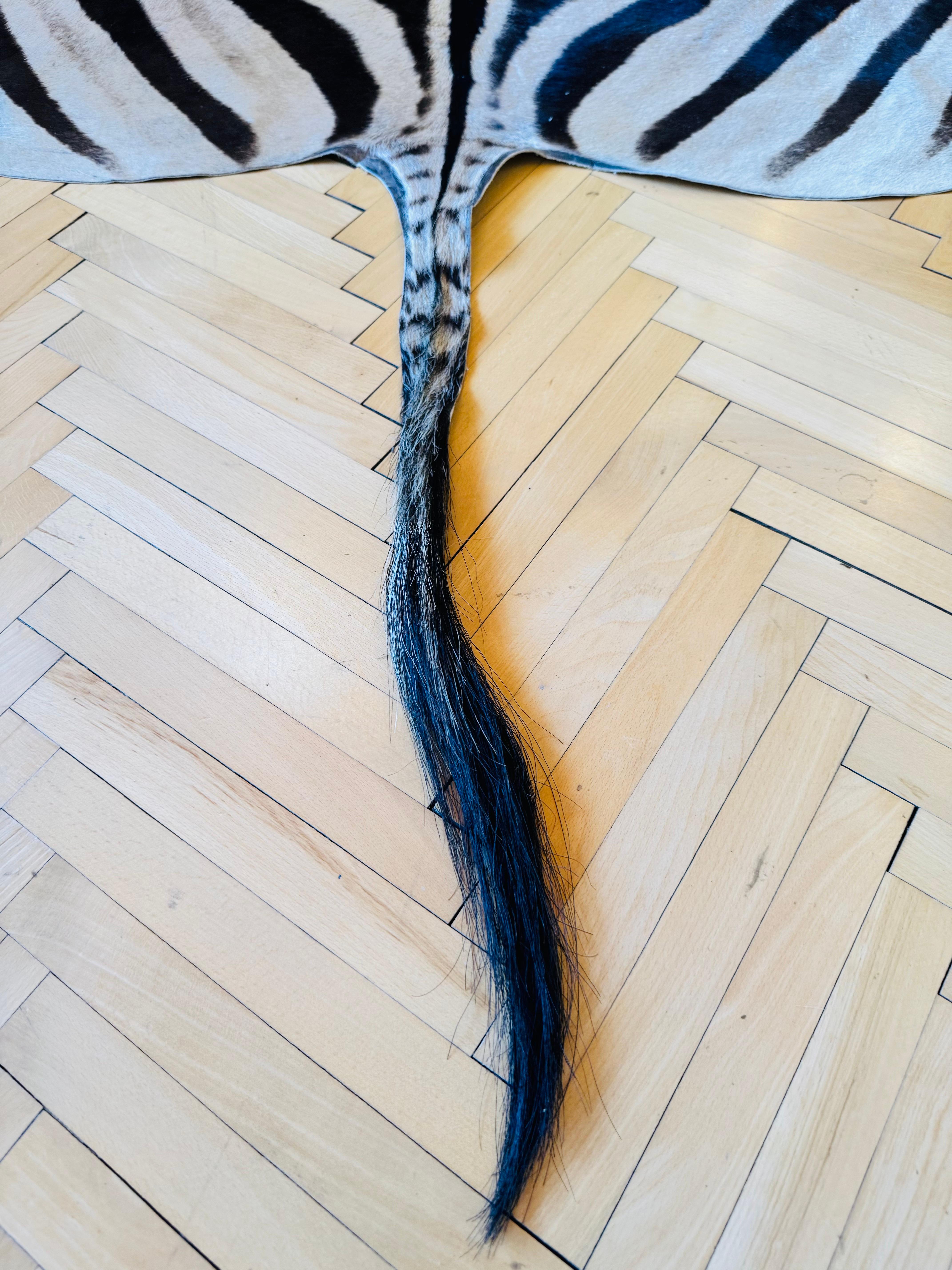 Premium XL Zebrafell (21. Jahrhundert und zeitgenössisch) im Angebot