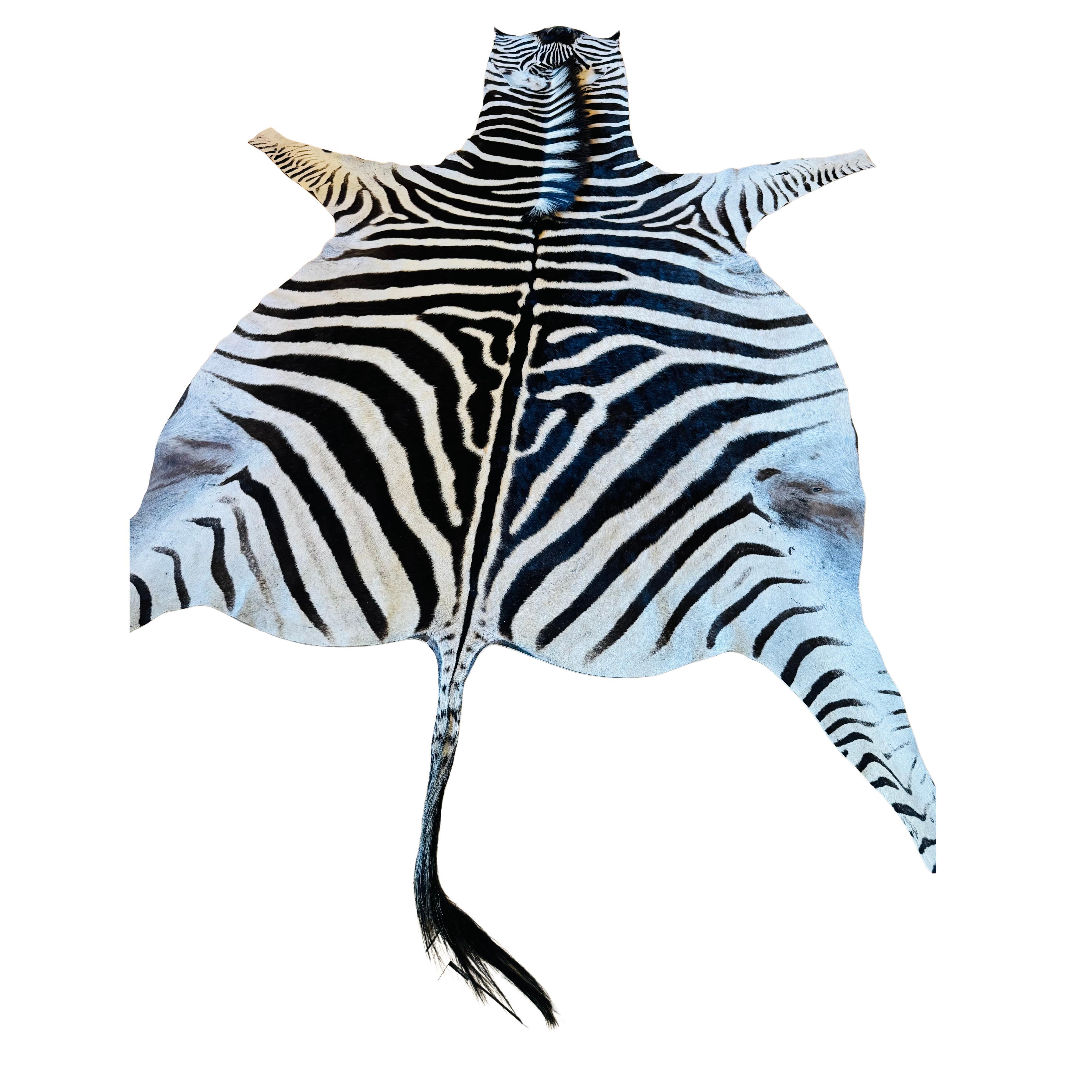 Premium XL Zebra Hide