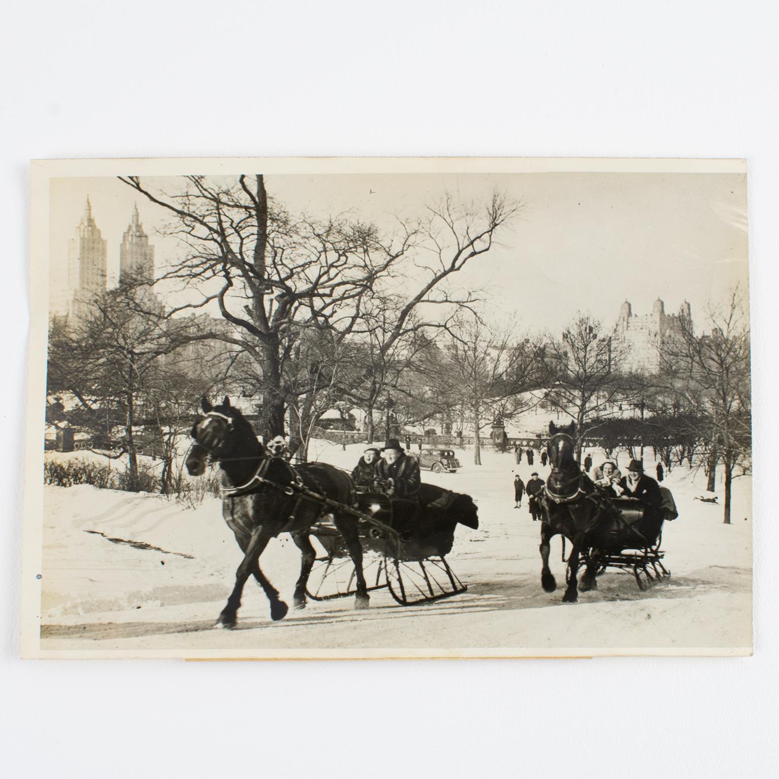 Sled Race in Central Park, 1934 Silver Gelatin Black-White Photography Framed For Sale 7