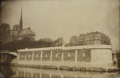 Cattedrale di Notre Dame e Ile de la Cité, fotografia alla gelatina d'argento B e W