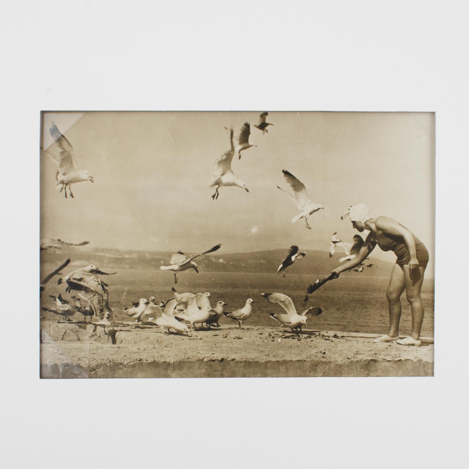 Sur la plage avec les mouettes, photographie noir et blanc au gélatino d'argent de 1930 - Photograph de Press Agency Trampus