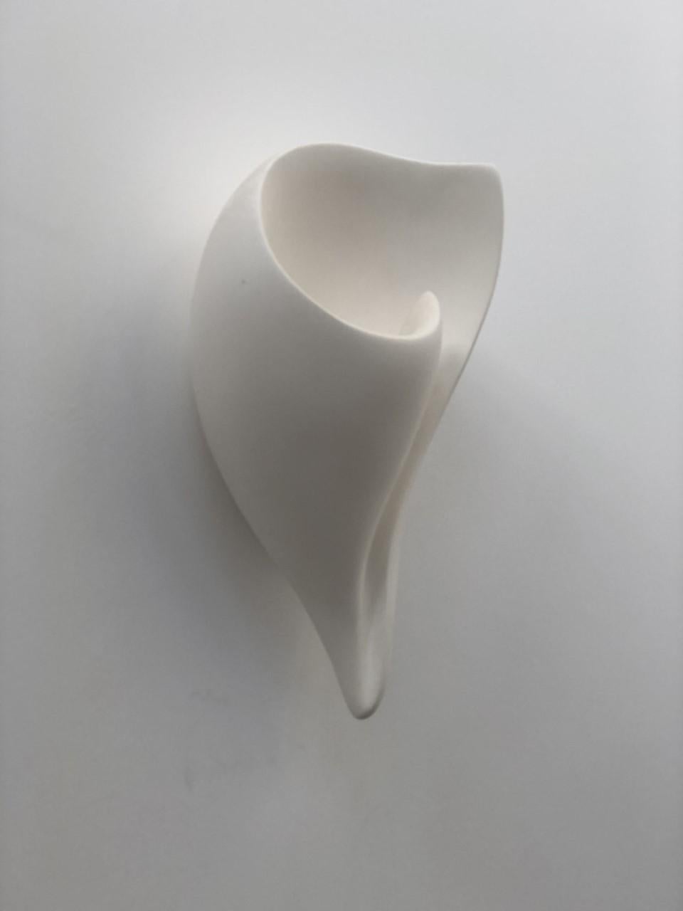 XXI secolo e contemporaneo CAMPIONE STAMPA:  Lampada da parete Shell - fotografata una volta, ricondizionata come nuova. in vendita