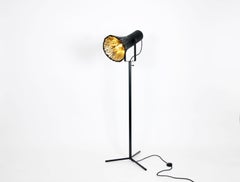 Pressed Wood Floor Lamp by Johannes Hemann