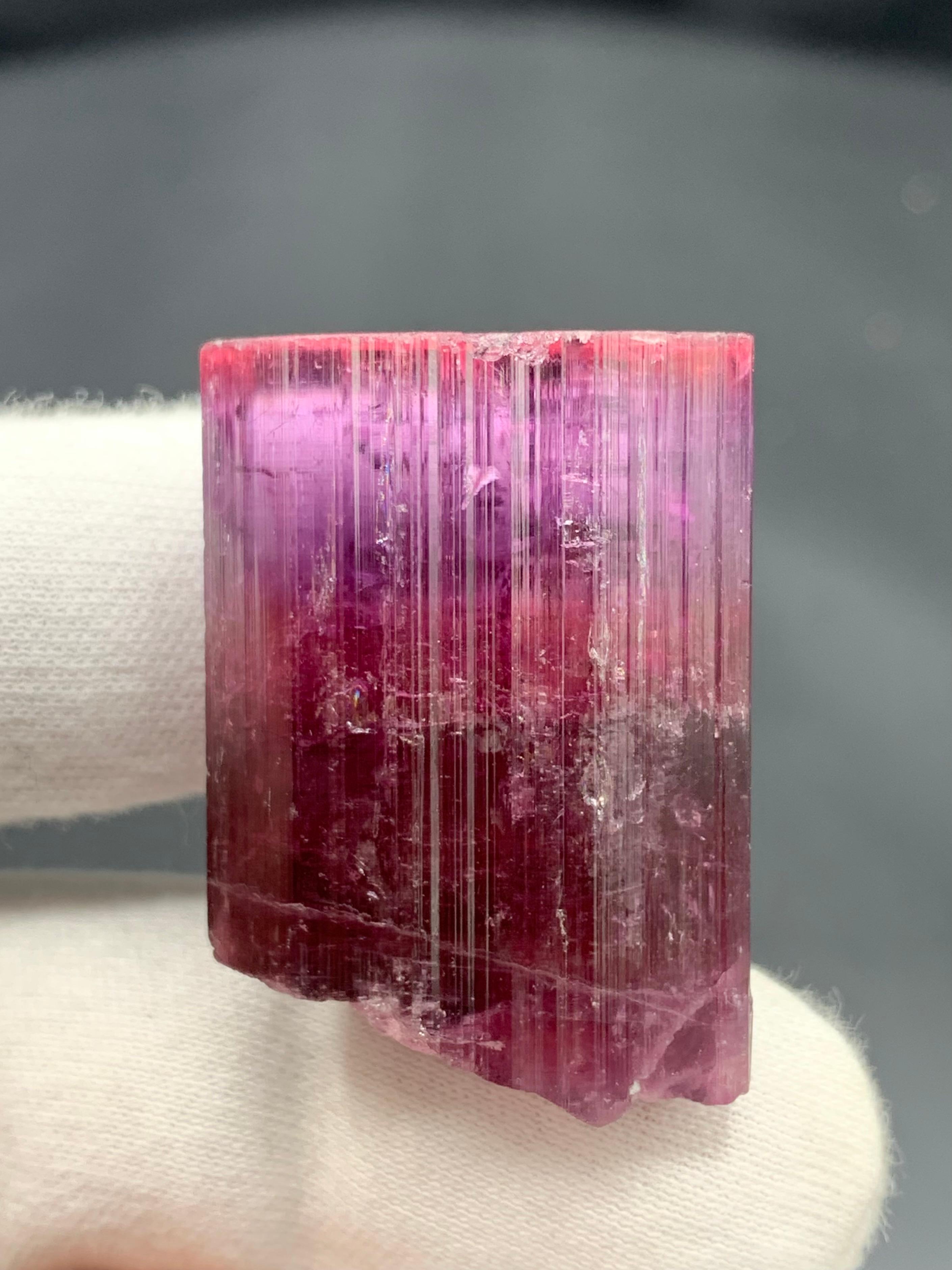 PRODUCT INFORMATION:

Natural Tourmaline Crystal 

Weight: 31.54 Grams

Dimension: 3.7 x 2.6 x 1.6 cm 

Locality: Afghanistan 

Treatment: None

DESCRIPTION:

This stunning, natural multi-color tourmaline crystal weighs 31.54 grams and hails from