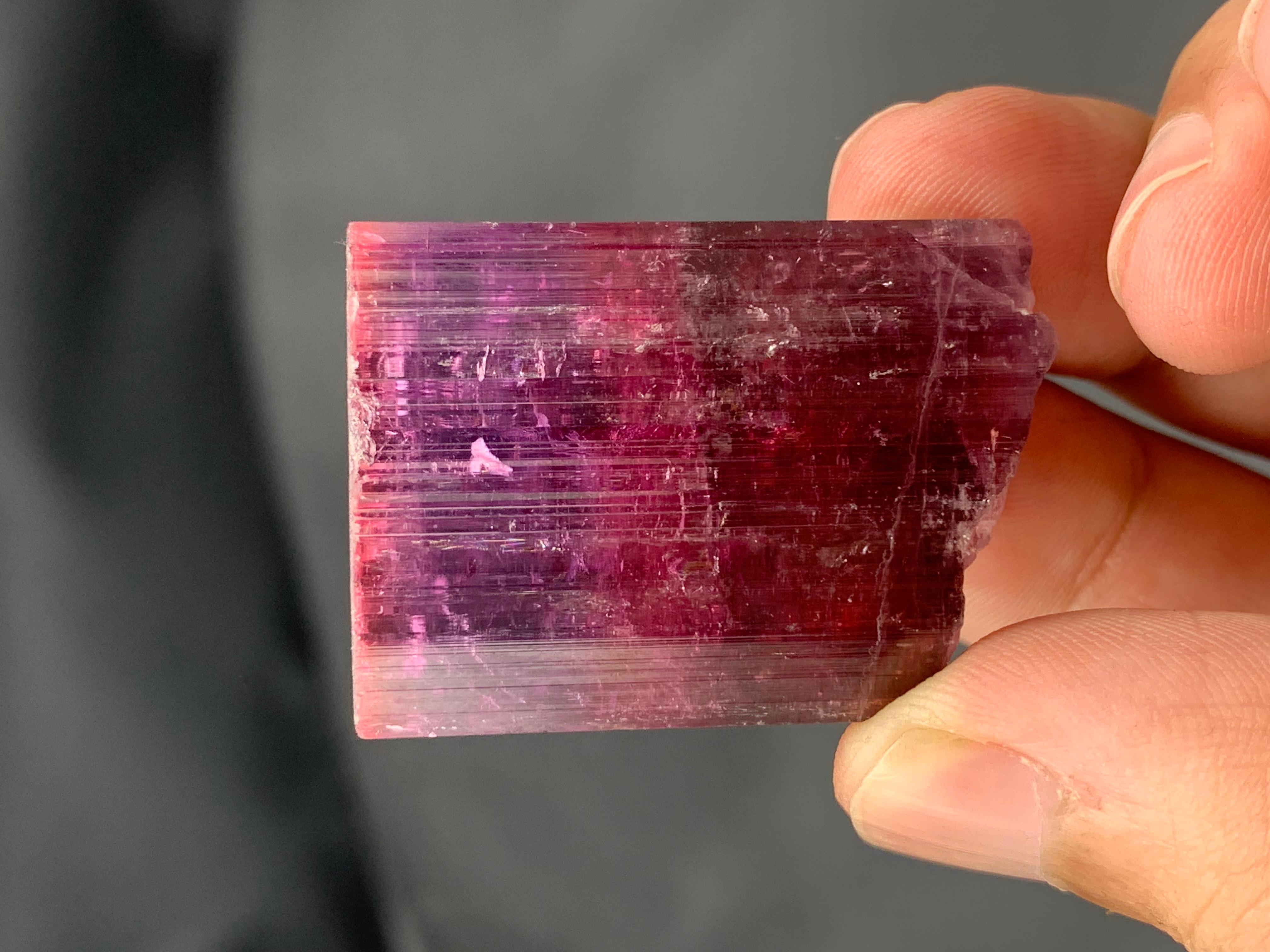 Adam Style Pretty 31.54 Grams Natural Multi-Colour Tourmaline Crystal From Afghanistan For Sale