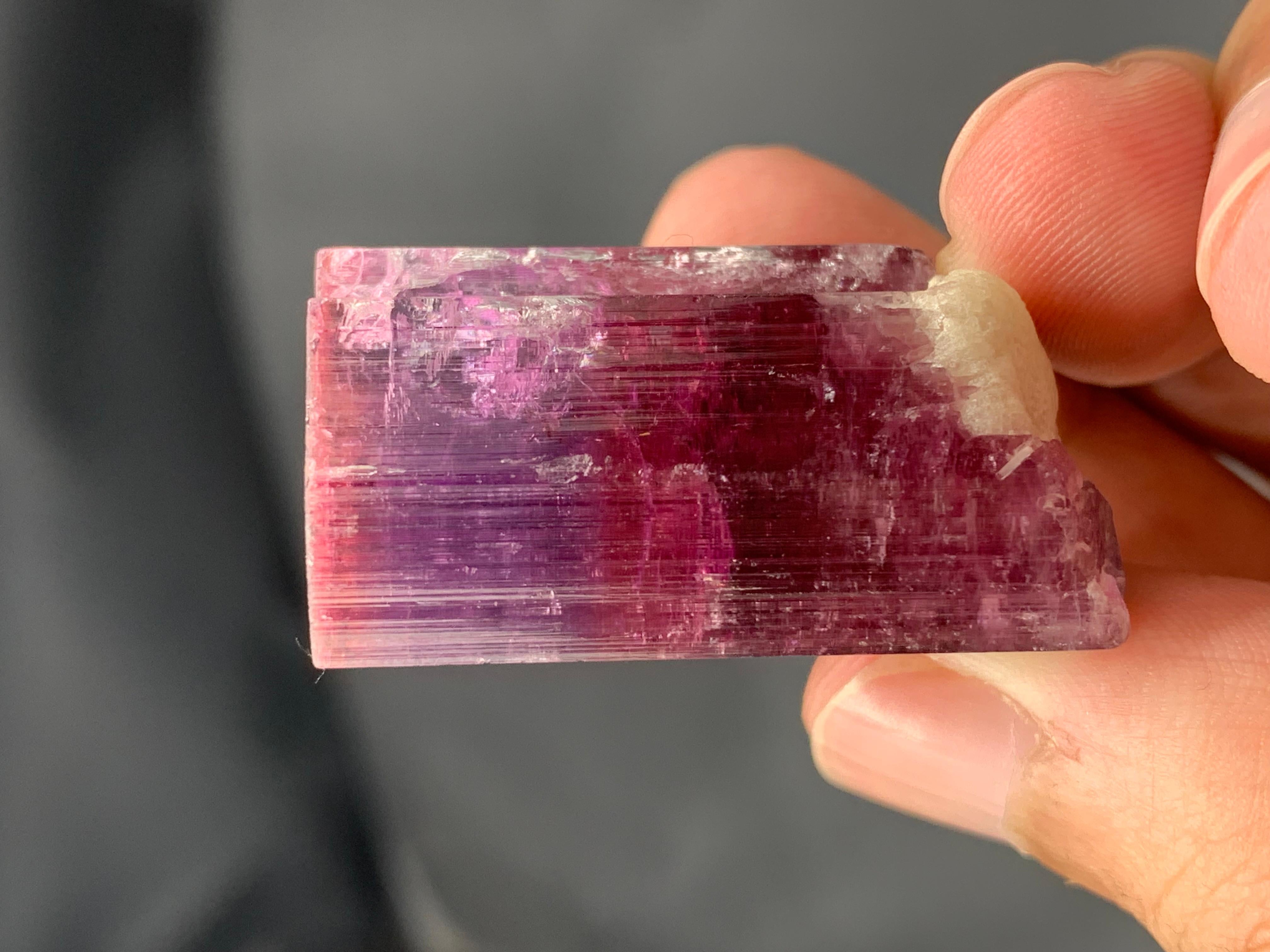 Pretty 31.54 Grams Natural Multi-Colour Tourmaline Crystal From Afghanistan In Excellent Condition For Sale In Peshawar, PK