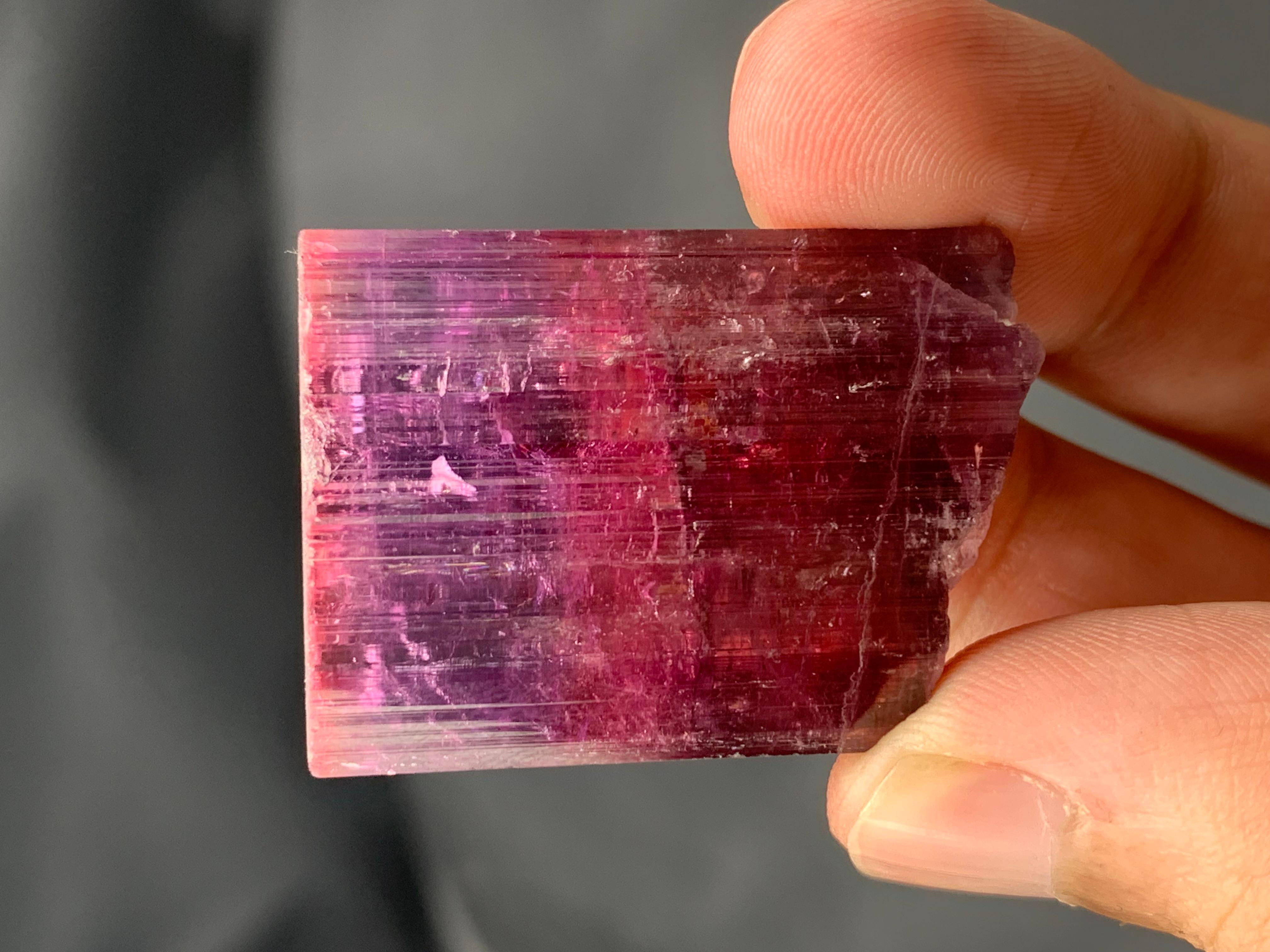 Contemporary Pretty 31.54 Grams Natural Multi-Colour Tourmaline Crystal From Afghanistan For Sale