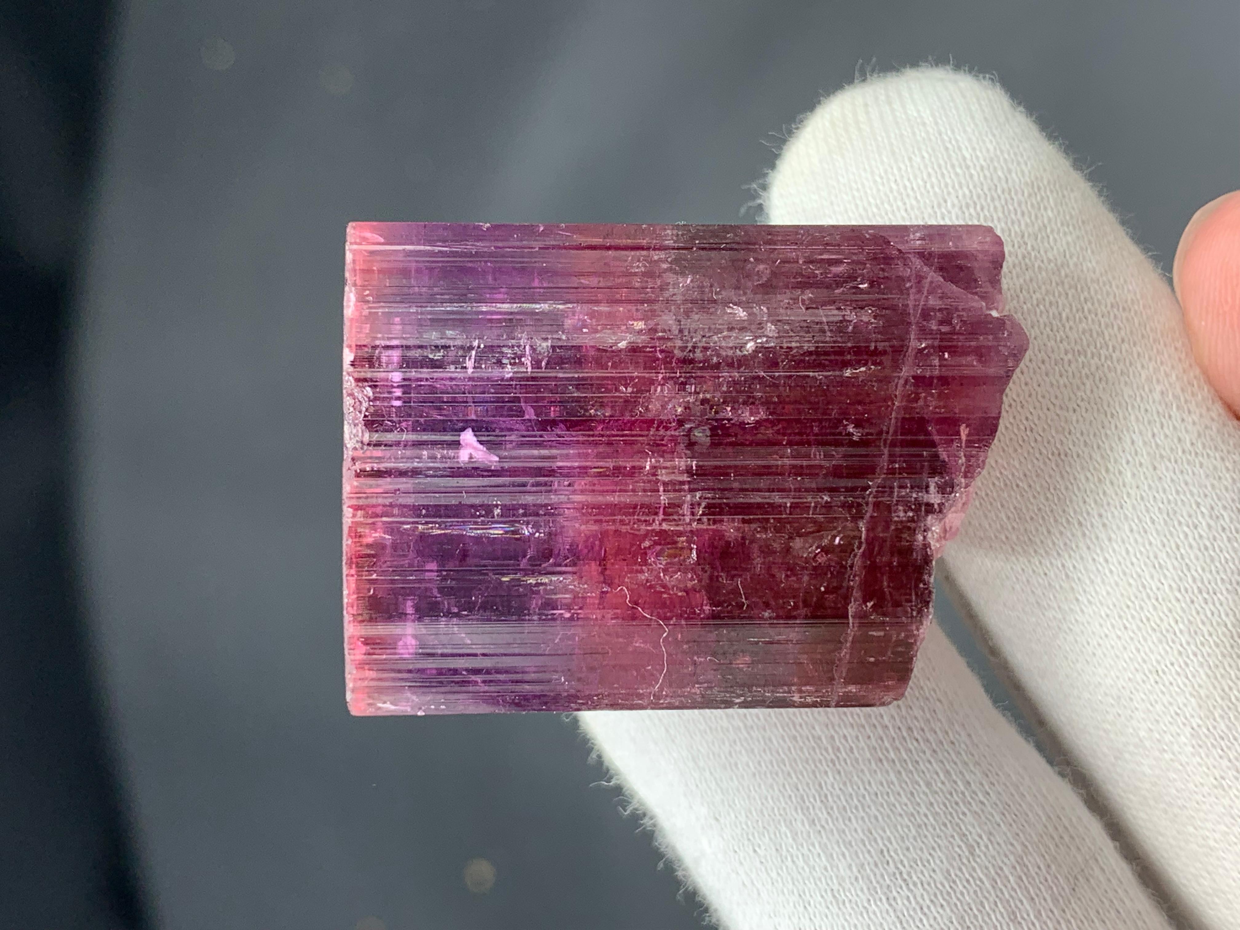 Pretty 31.54 Grams Natural Multi-Colour Tourmaline Crystal From Afghanistan For Sale 1