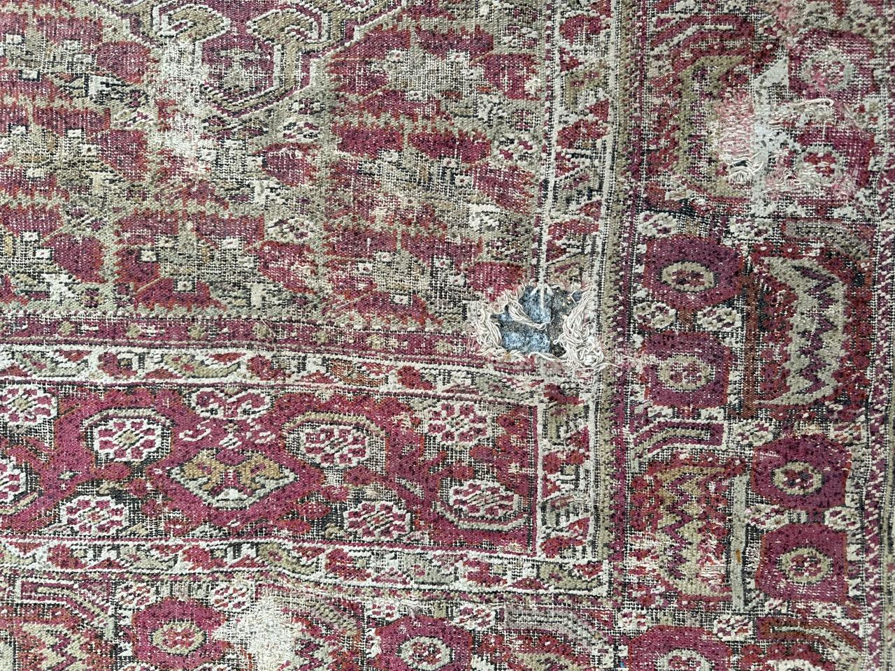Bobyrug's Pretty Antique 18th century distressed Turkish Ghyordes rug (Wolle) im Angebot