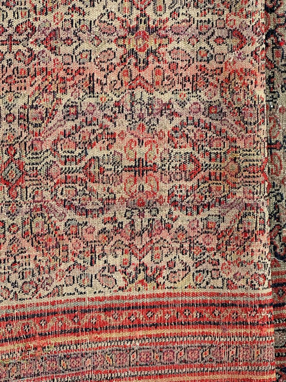 Jolie antiquité extrêmement fine  tapis seneh en soie en vente 11