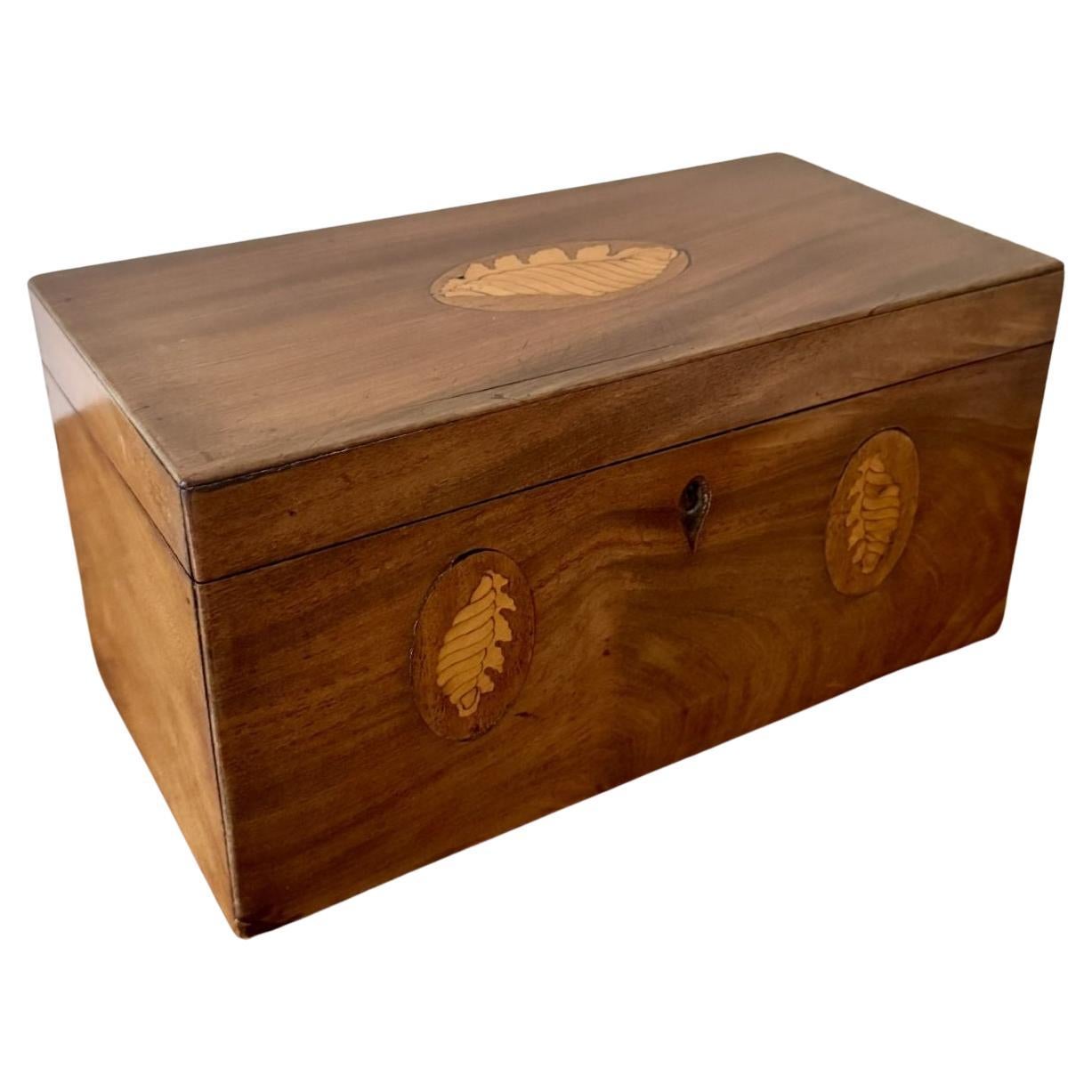 Pretty antique Victorian mahogany conch shell inlaid tea caddy For Sale