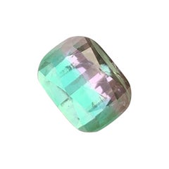 Graziosa gemma di tormalina naturale bicolore 2,90 CTS Gemma di tormalina per anello