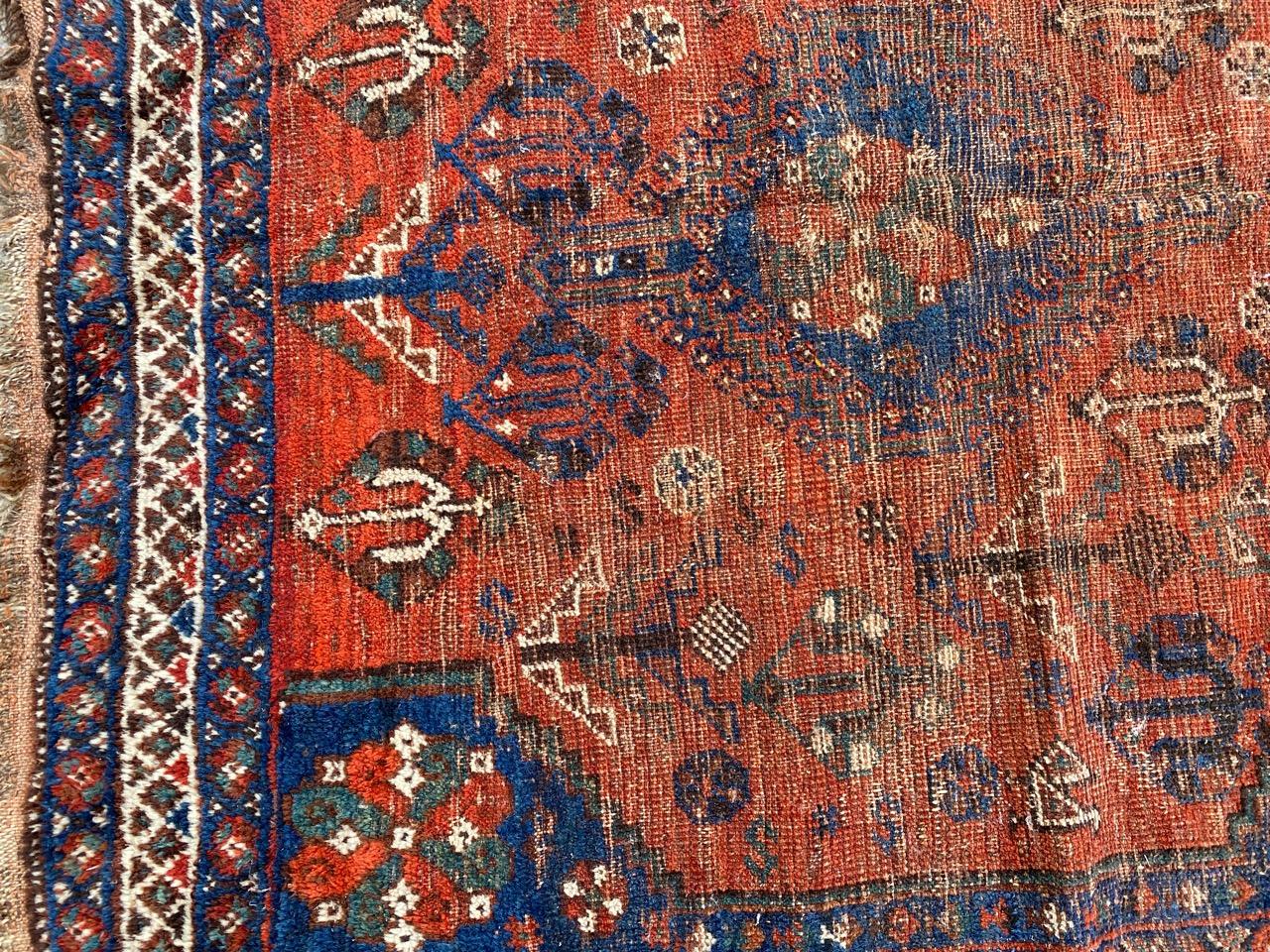 Pretty Little Antique Shiraz Rug 6