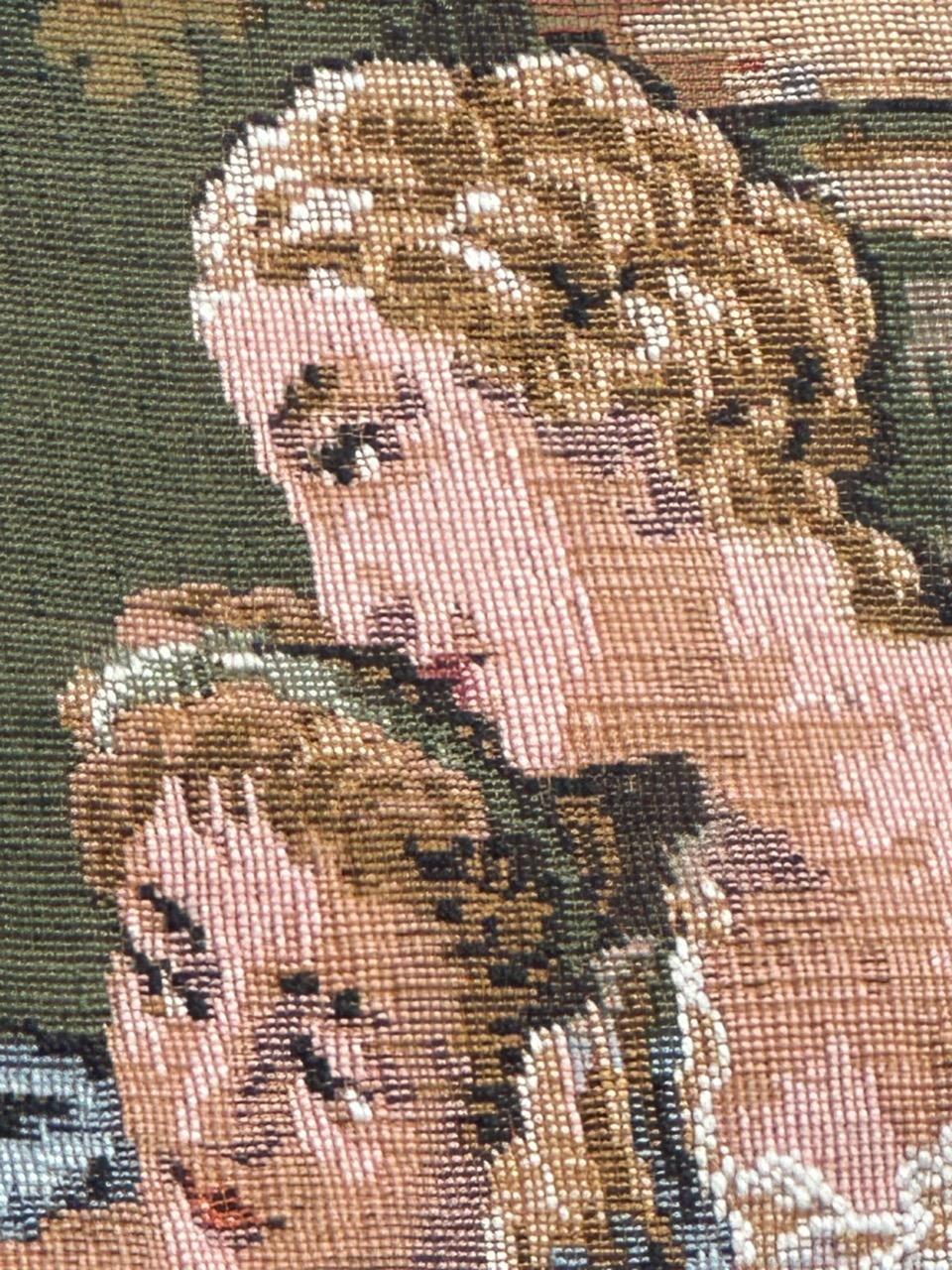 Grazioso arazzo jacquard francese d'epoca in stile Aubusson  