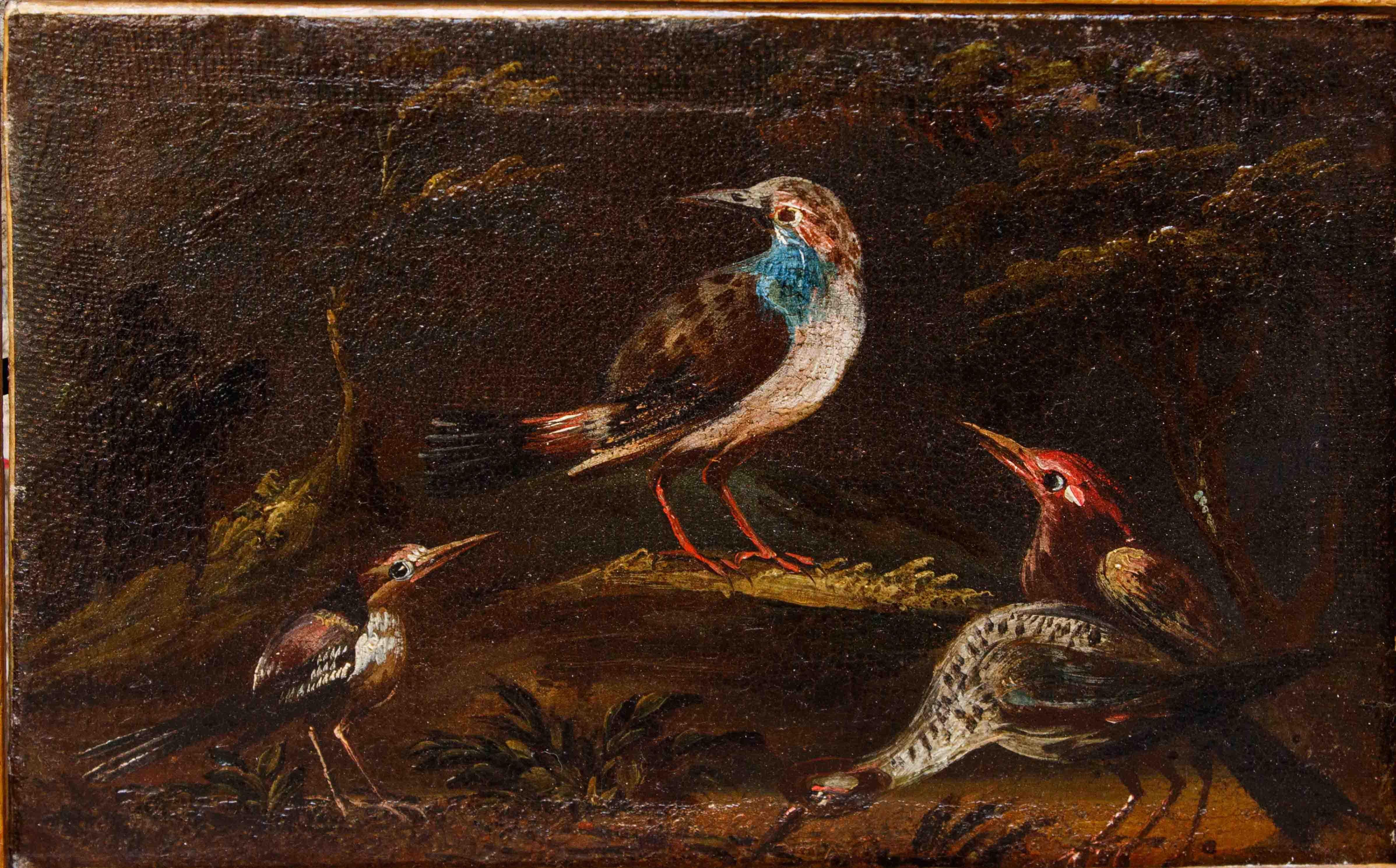 Prima metà del XVIII secolo, scuola bresciana, Coppia di nature vive con uccelli im Angebot 2